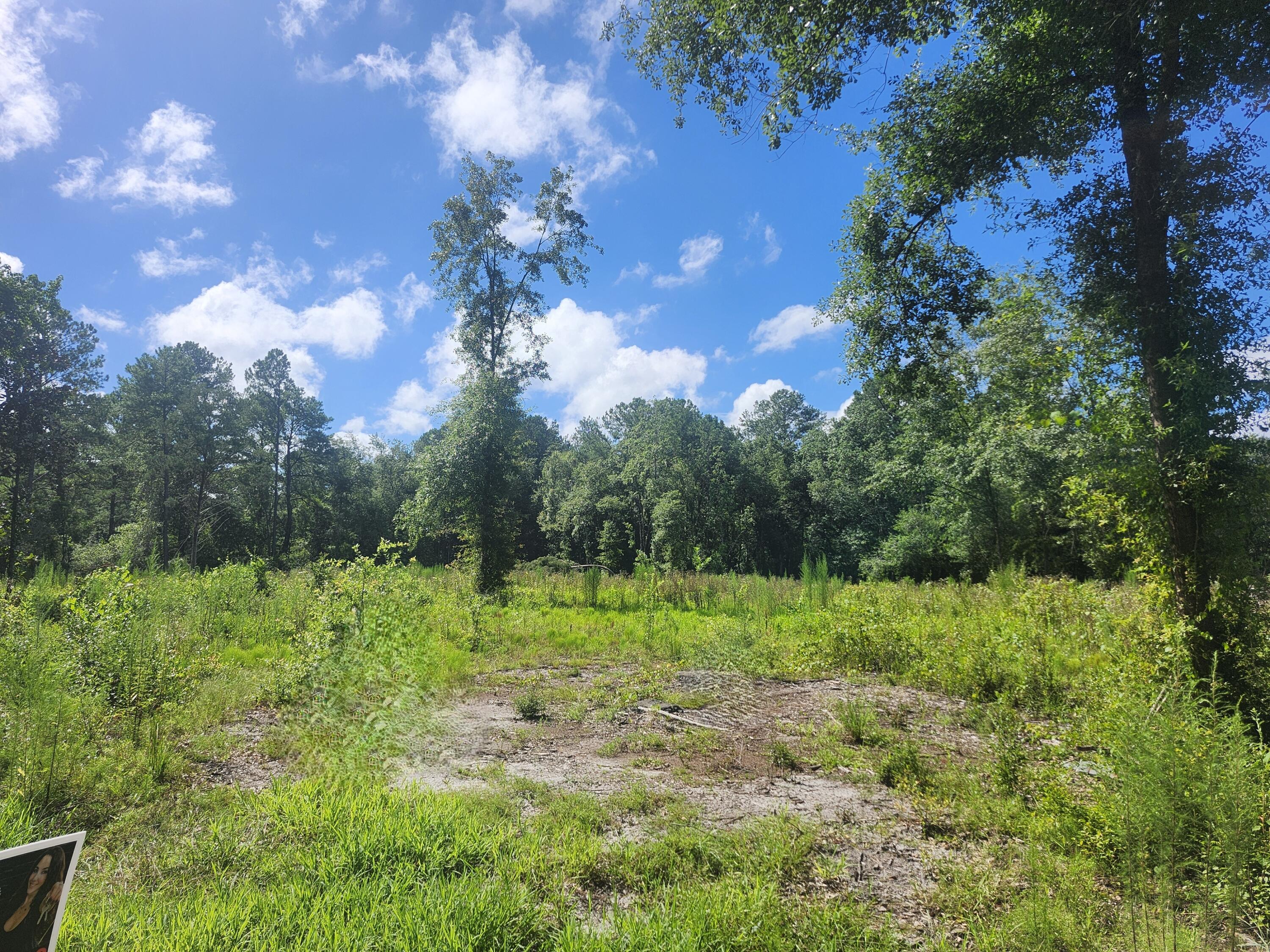 SHOAL RIVER PLANTATION UNREC S/D - Land