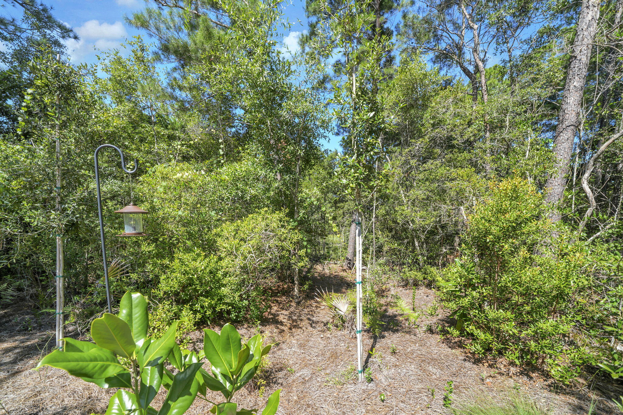 GRAYTON BAYOU - Residential