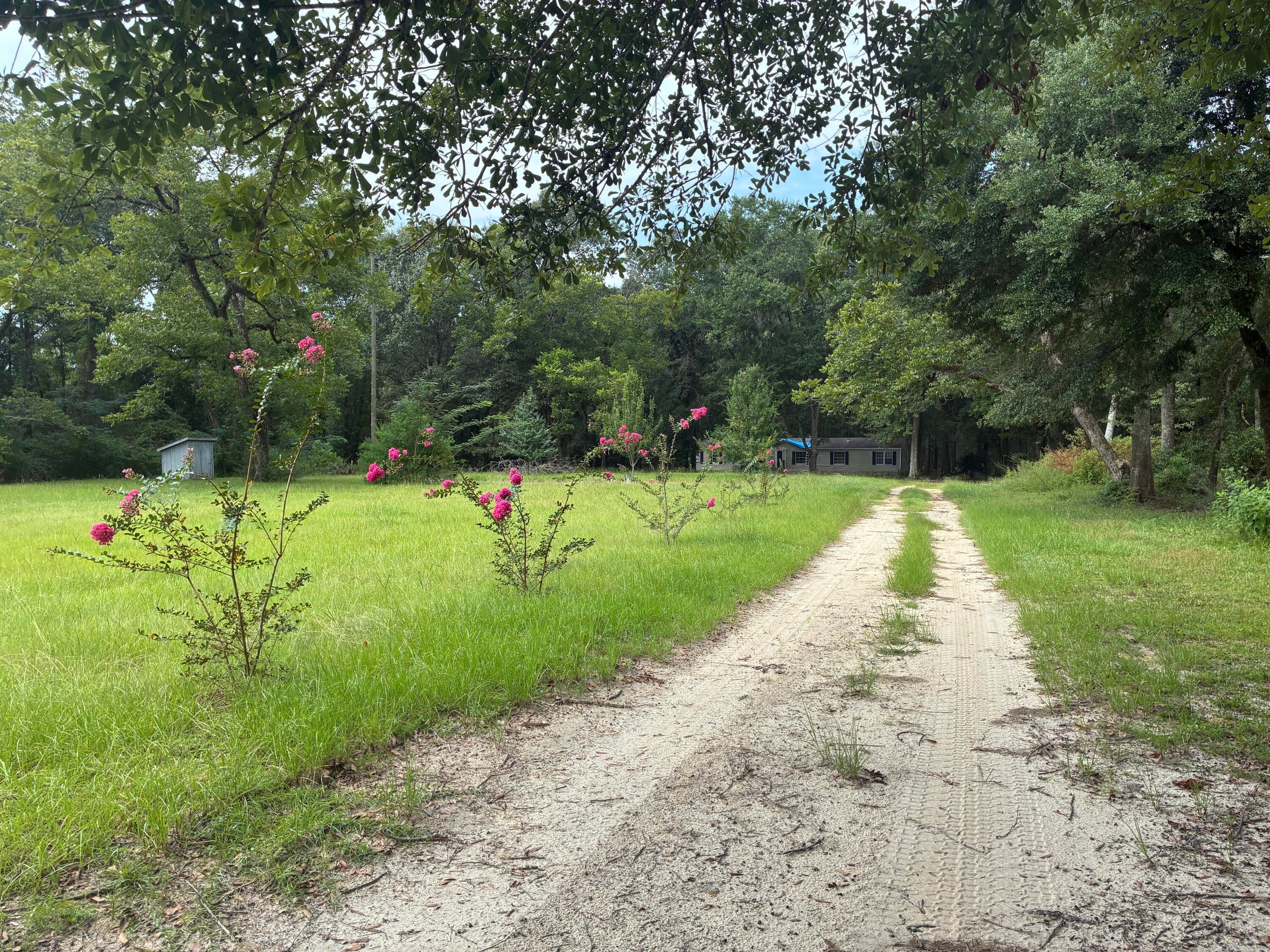Along the Florida/Alabama Line - Land