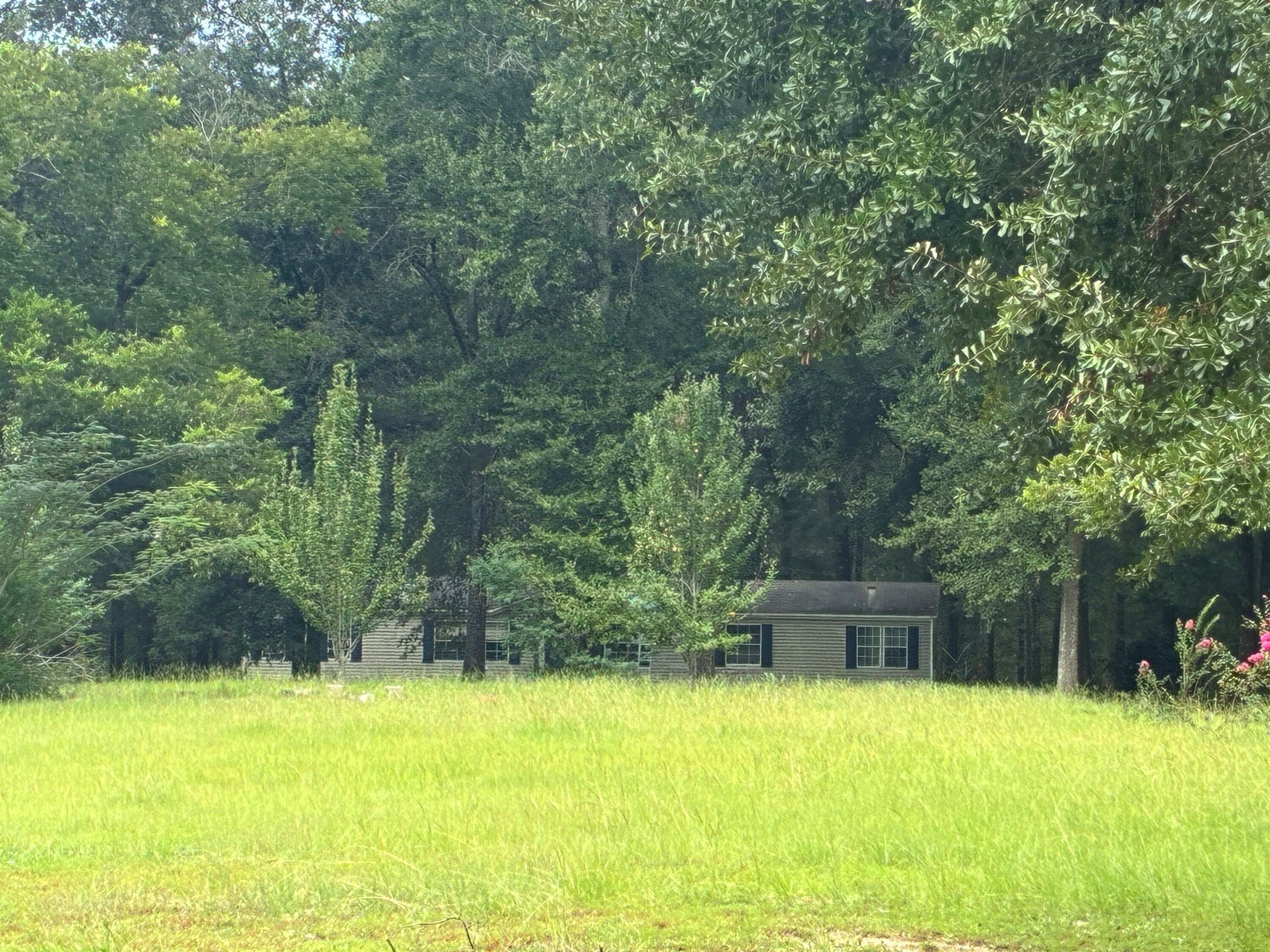 Along the Florida/Alabama Line - Land