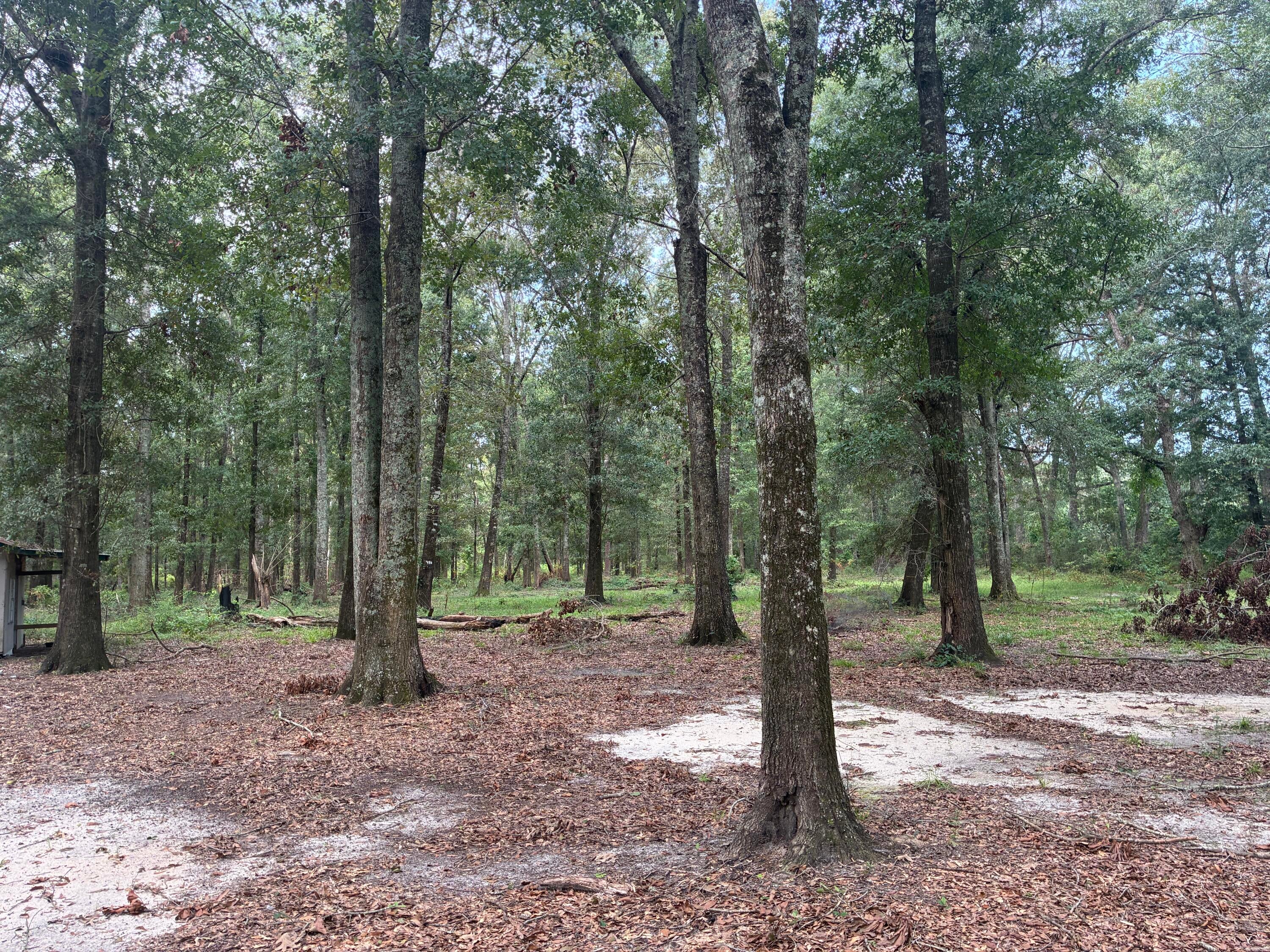 Along the Florida/Alabama Line - Land