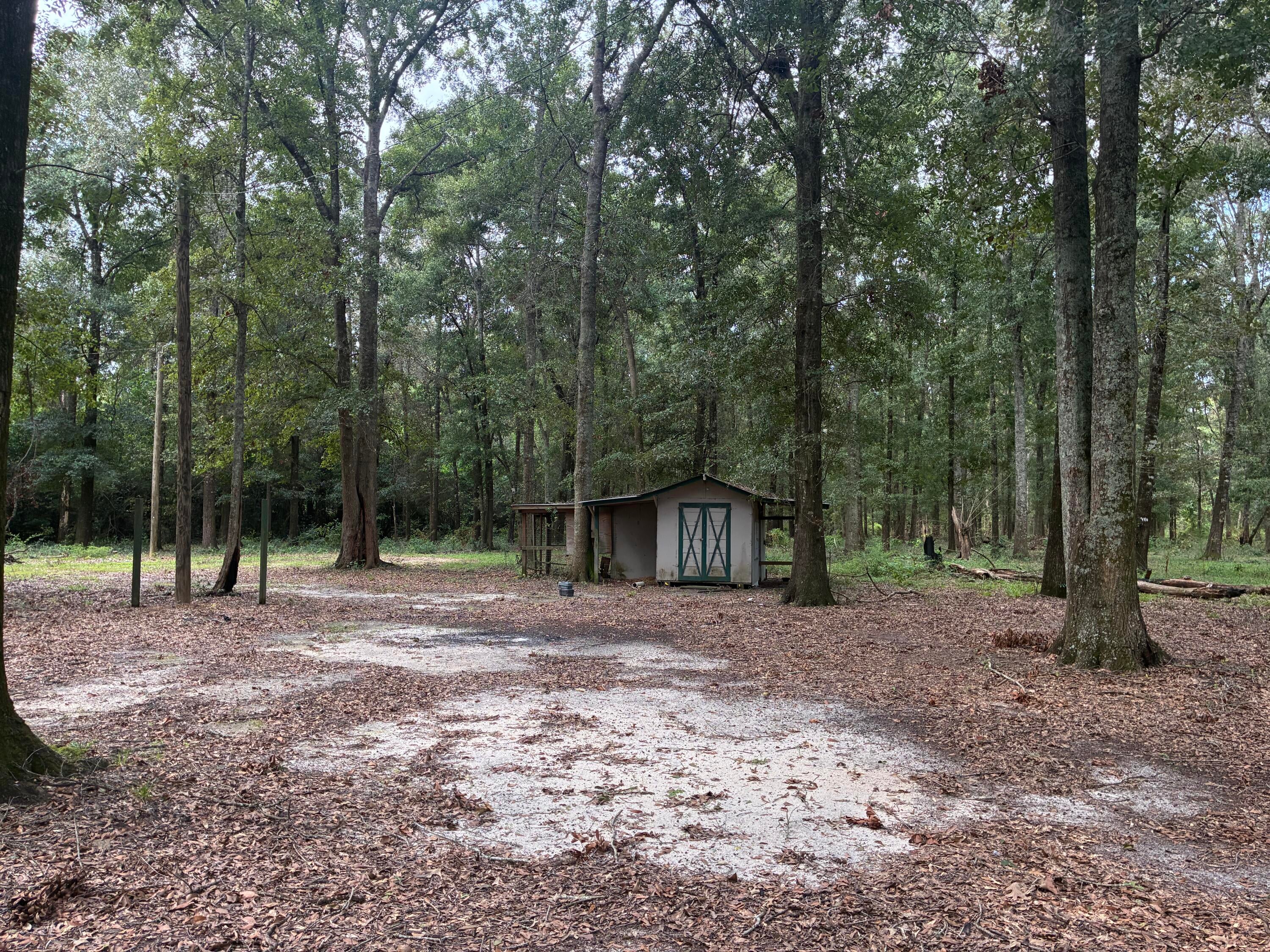 Along the Florida/Alabama Line - Land