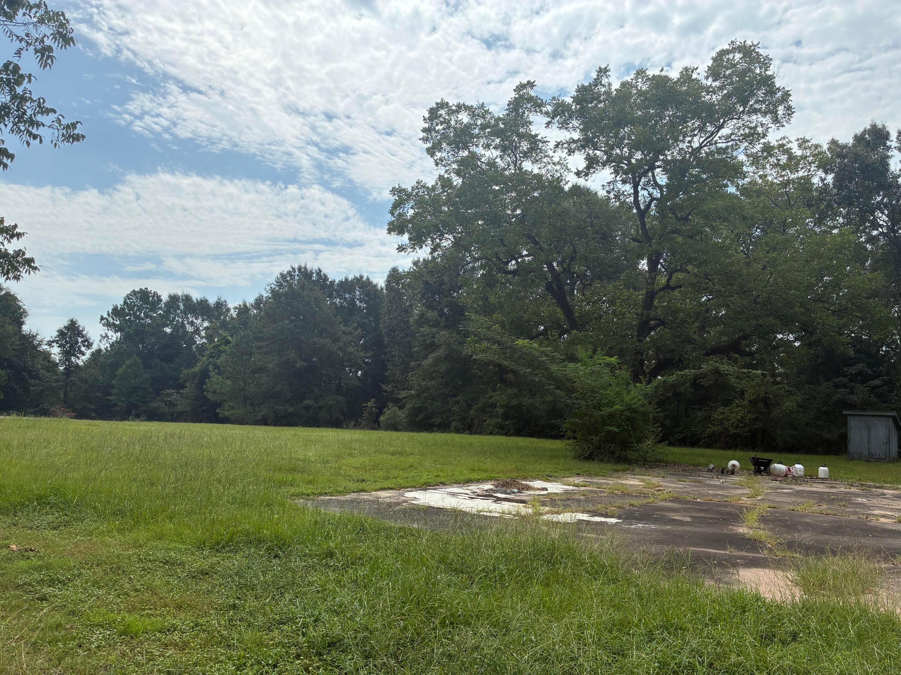 Along the Florida/Alabama Line - Land