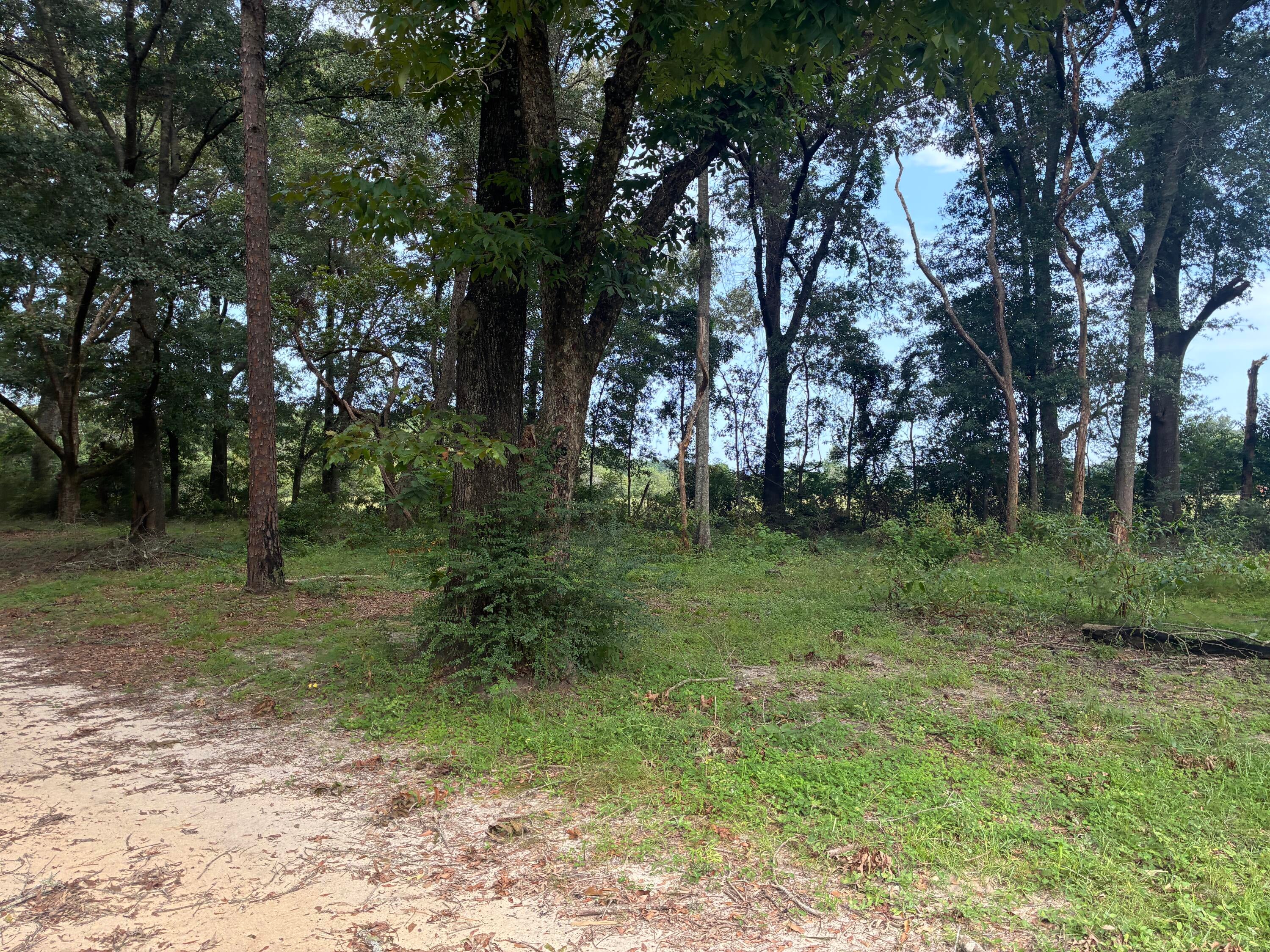 Along the Florida/Alabama Line - Land