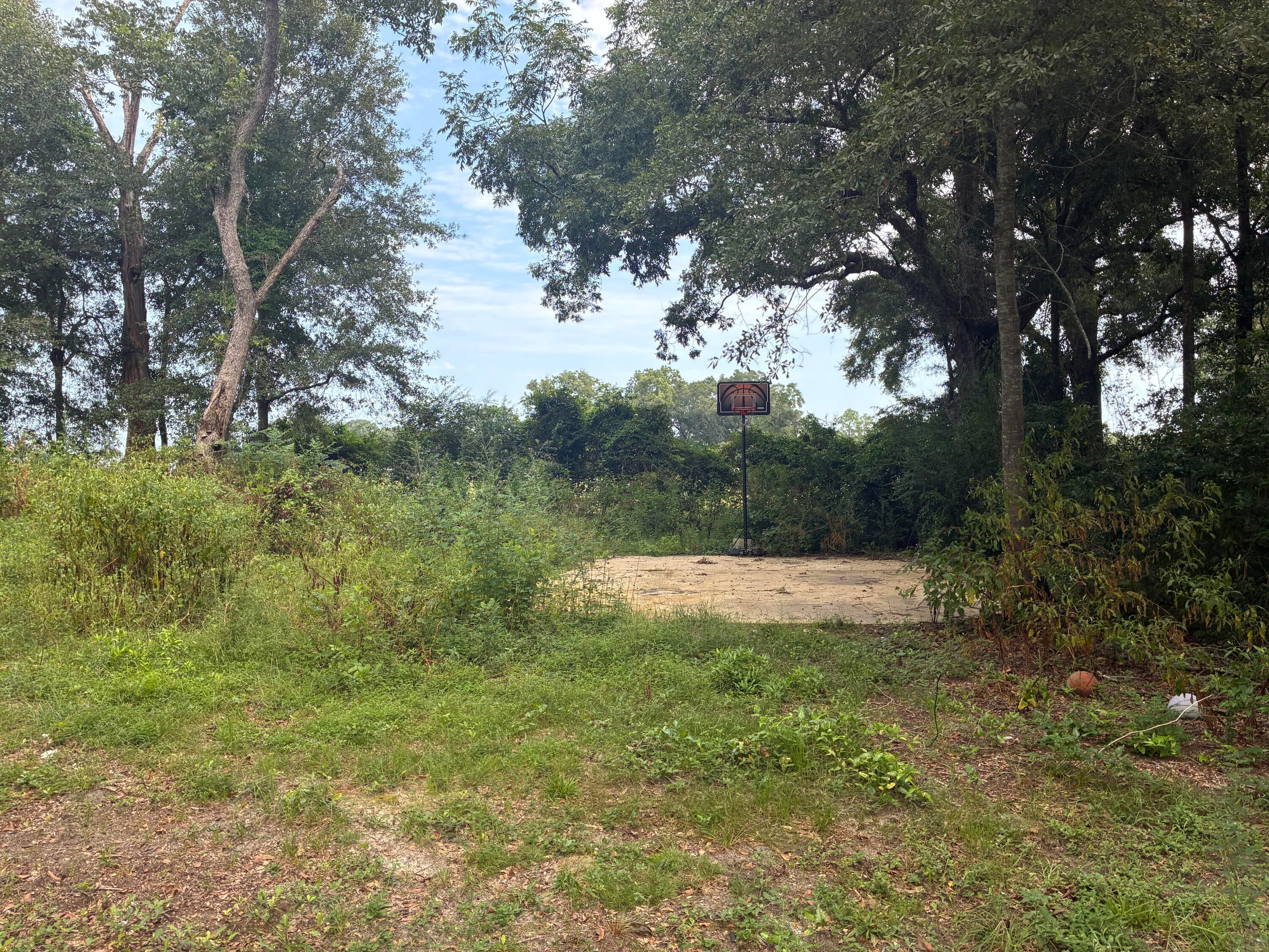 Along the Florida/Alabama Line - Land