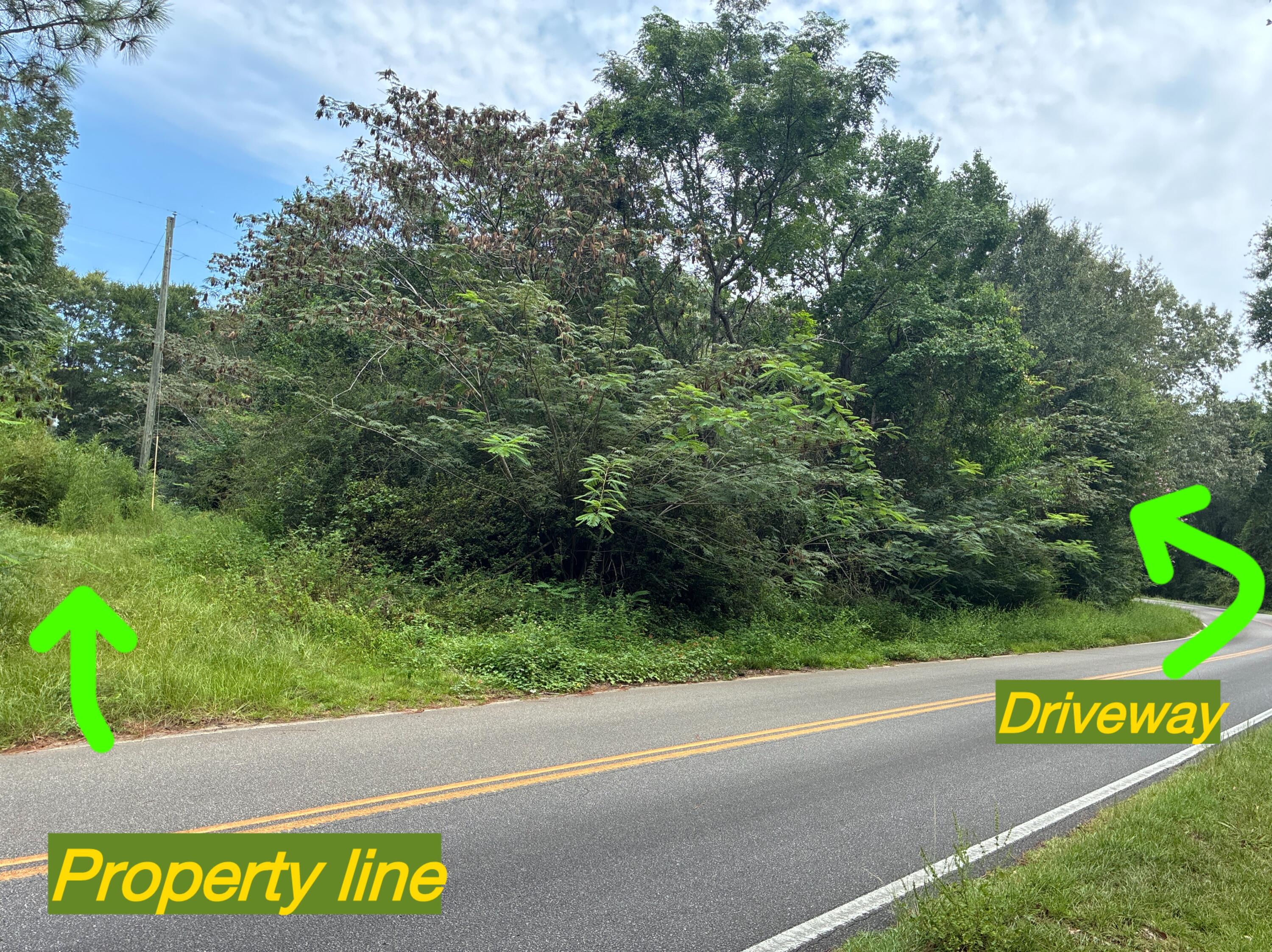 Along the Florida/Alabama Line - Land