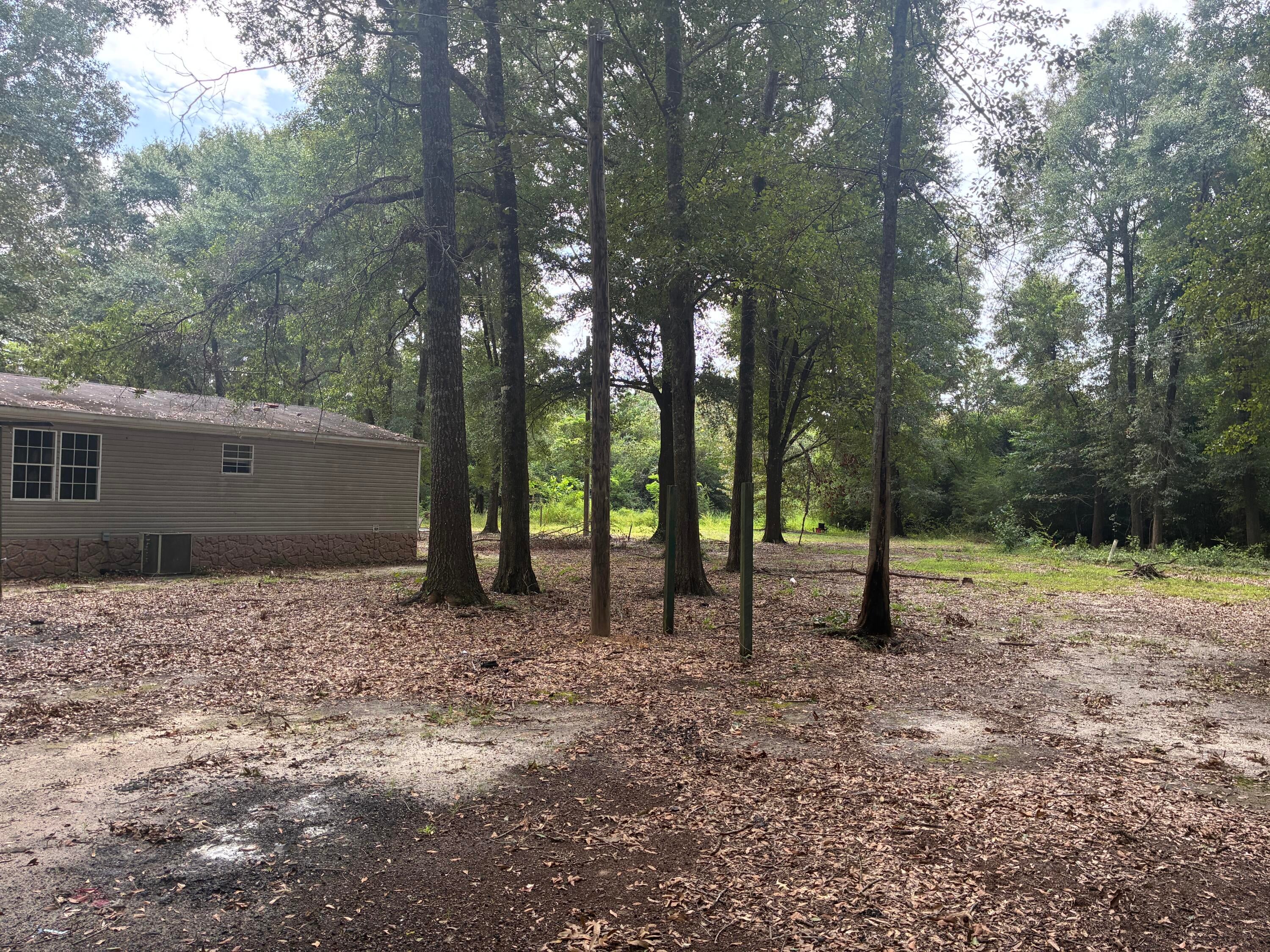 Along the Florida/Alabama Line - Land