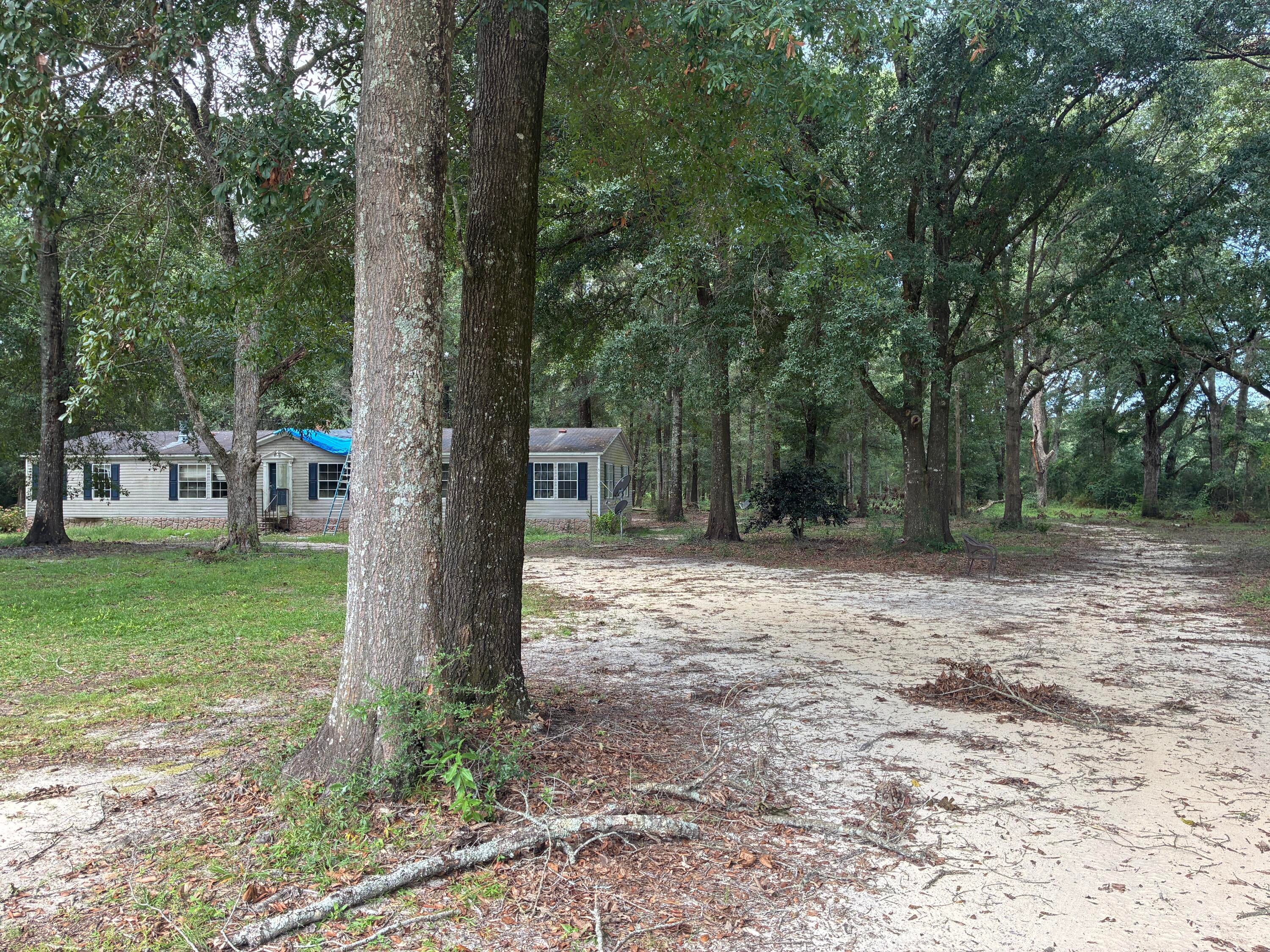 Along the Florida/Alabama Line - Land