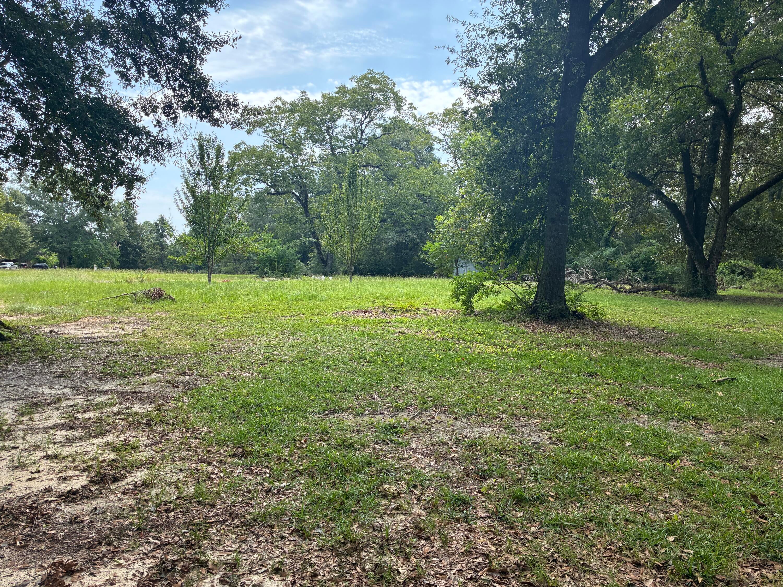 Along the Florida/Alabama Line - Land