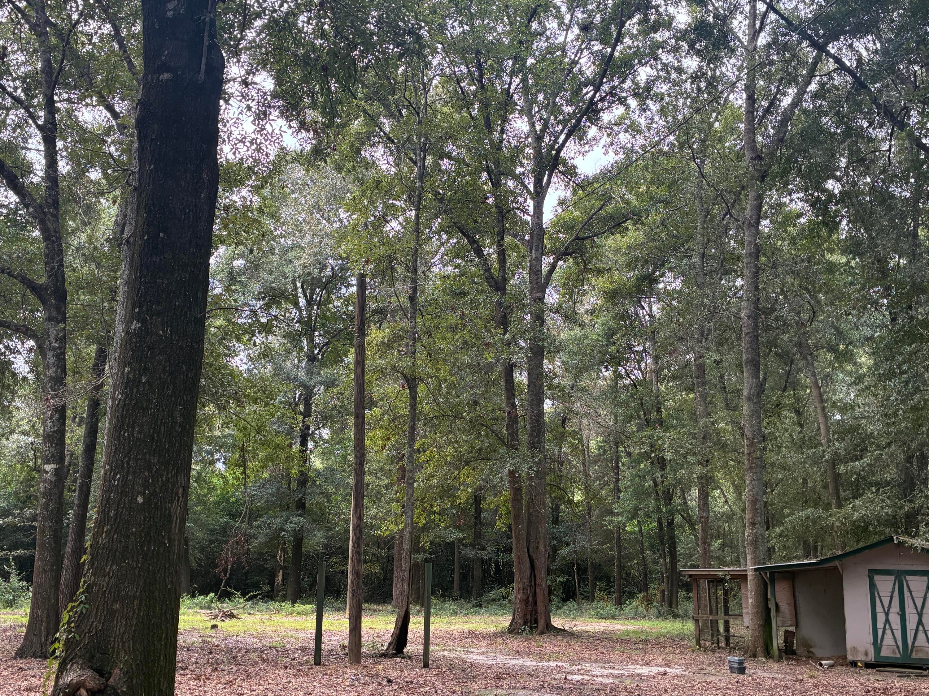 Along the Florida/Alabama Line - Land