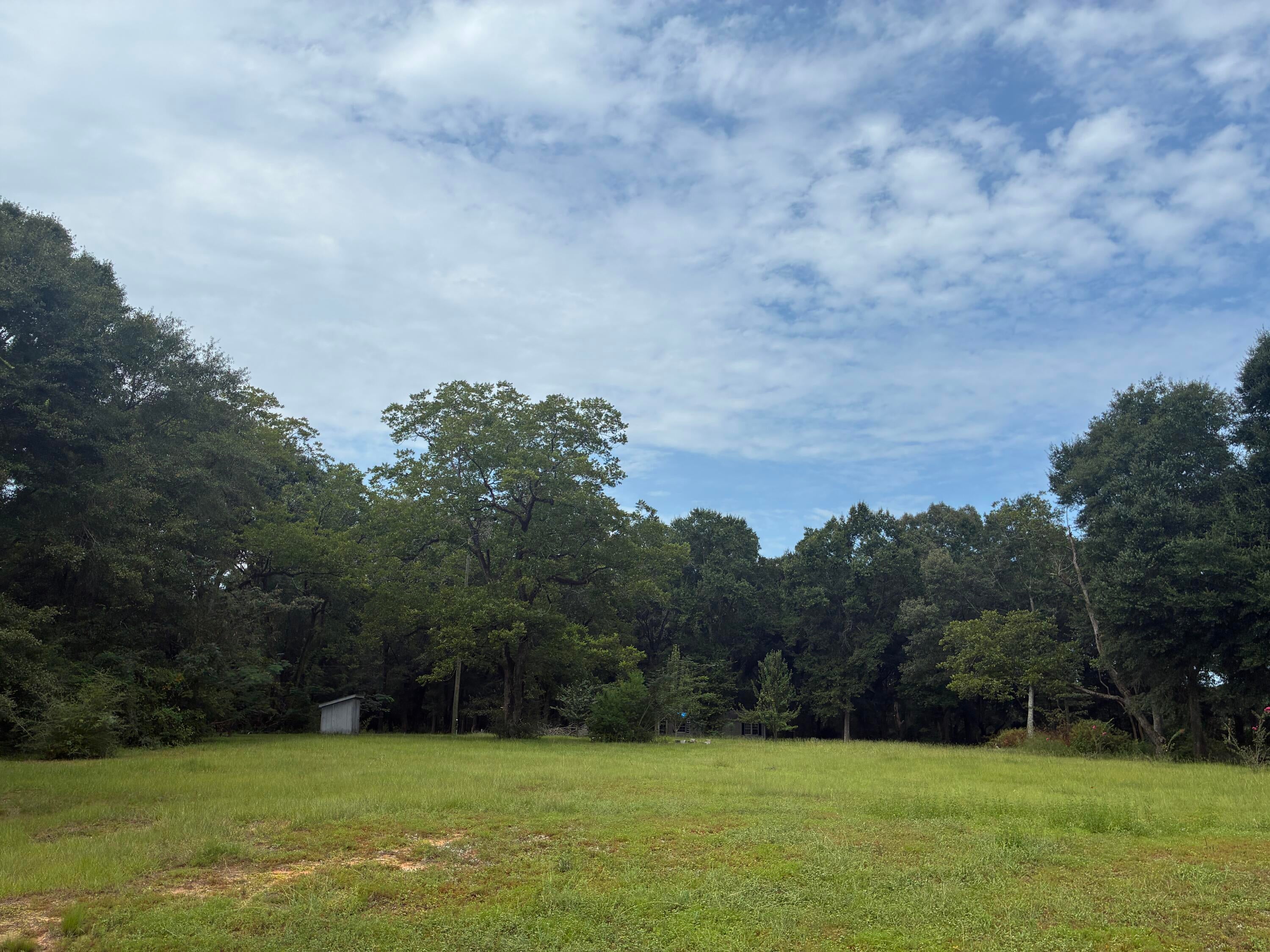 Peaceful Country Living Just Down the Road from Florida's Highest Point!

Bring your vision to life on this incredible 23+ acre unrestricted tract, perfectly situated in a quiet, highly desirable countryside setting just East of Florala, North of DeFuniak Springs, and West of Samson--with the white-sand beaches just an easy one-hour drive away.

Whether you are looking to build your dream primary estate, a weekend hunting getaway, or a private second home, this property is a must-see.

The Land: Approximately 10 acres are already partially cleared, offering a great balance of open space and mature woods with plenty of room to explore, ride, or establish a mini-farm. 

Utilities & Infrastructure Ready: Save thousands on development costs! The property features a working deep well, and the septic tank was recently serviced in June 2026.

Bonus Improvements: Complete with 3 light poles, existing irrigation, and 5 water spigots already in place across the grounds.

(Note: There is an older mobile home on site given $0 value; the price reflects the immense value of the acreage and ready-to-go utilities.) With cash or conventional financing for the land, an investor may find value in the home. 

All situated High & Dry in Flood Zone X - no need for flood insurance. No risk of flooding.

Gen-Ag zoning. 

Survey in hand

Properties with this kind of acreage, cleared land, and active utilities rarely hit the market at this price. Don't let this slice of country paradise pass you by