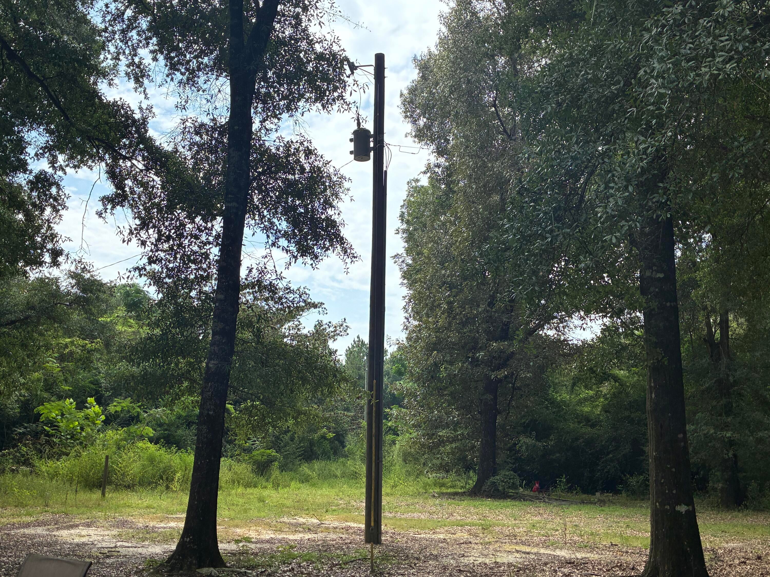 Along the Florida/Alabama Line - Land
