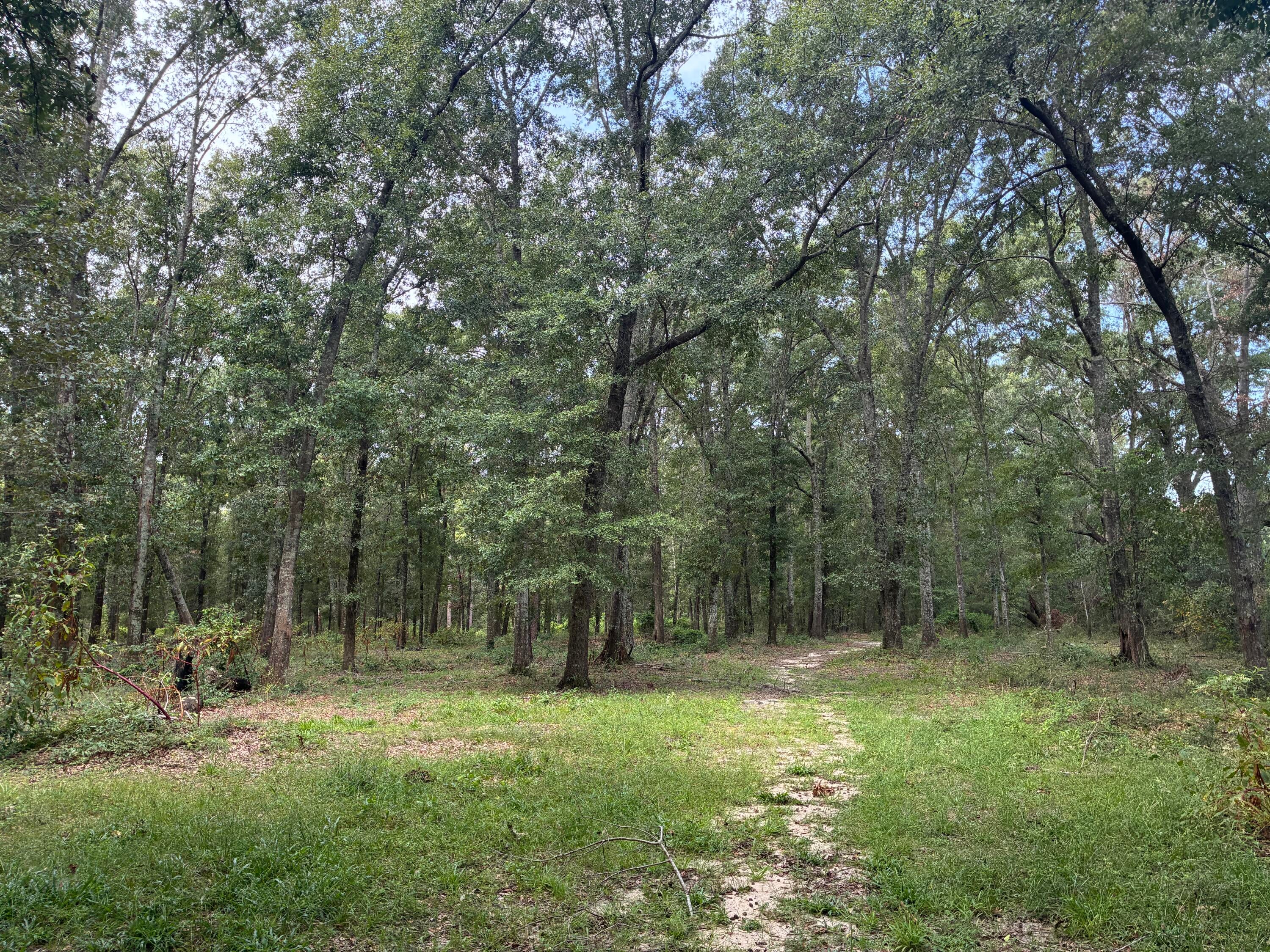 Along the Florida/Alabama Line - Land
