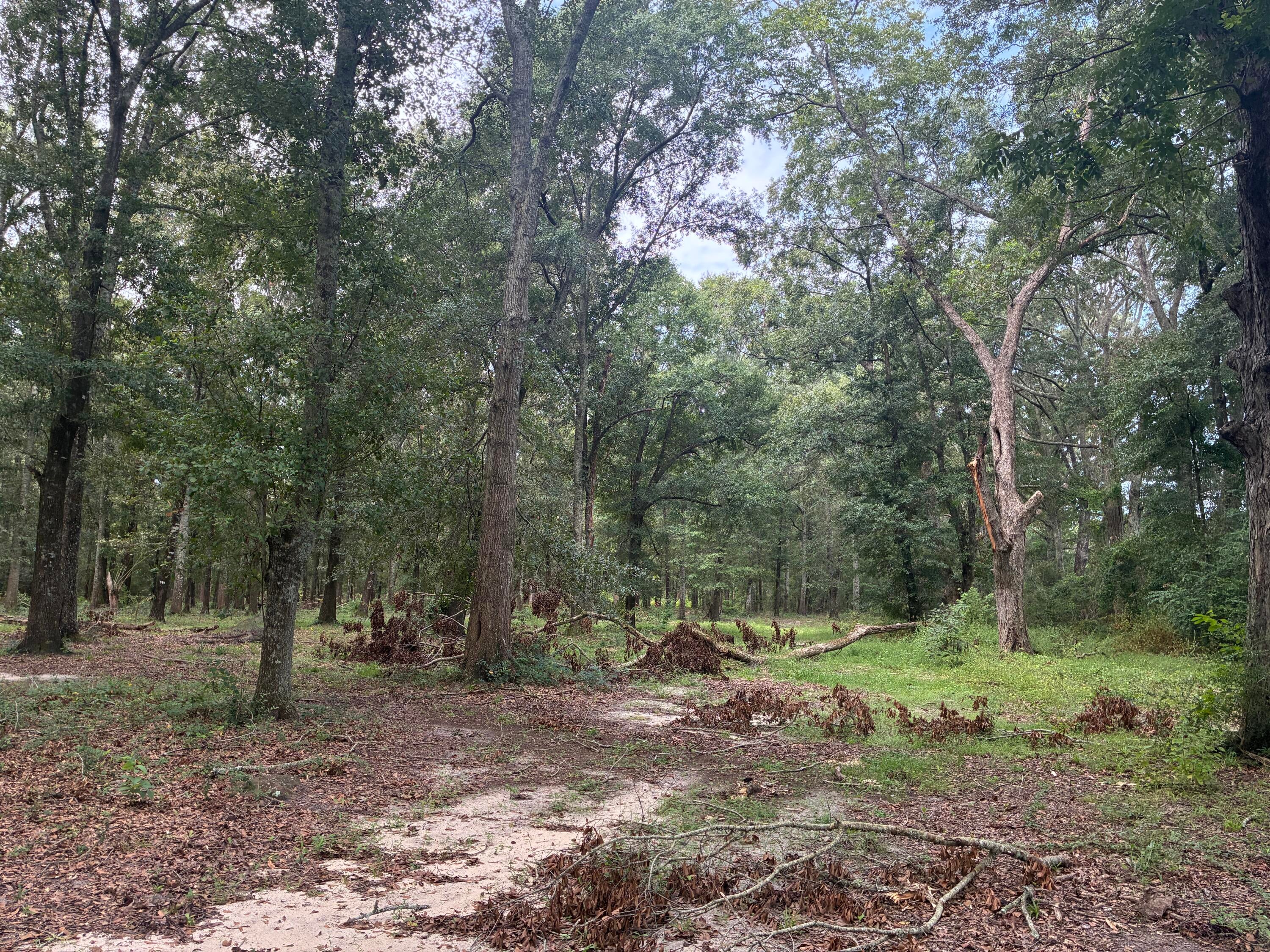 Along the Florida/Alabama Line - Land