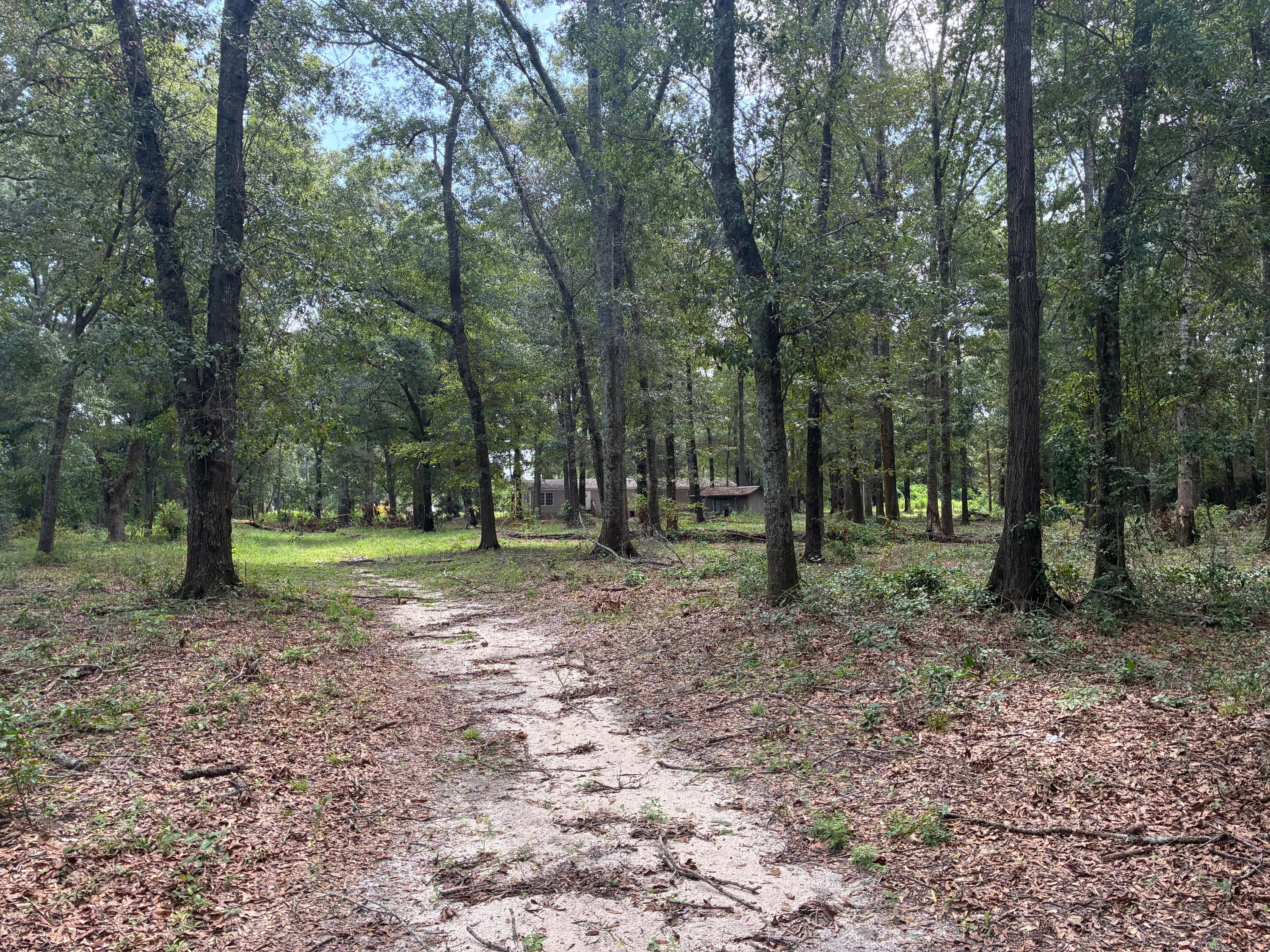 Along the Florida/Alabama Line - Land
