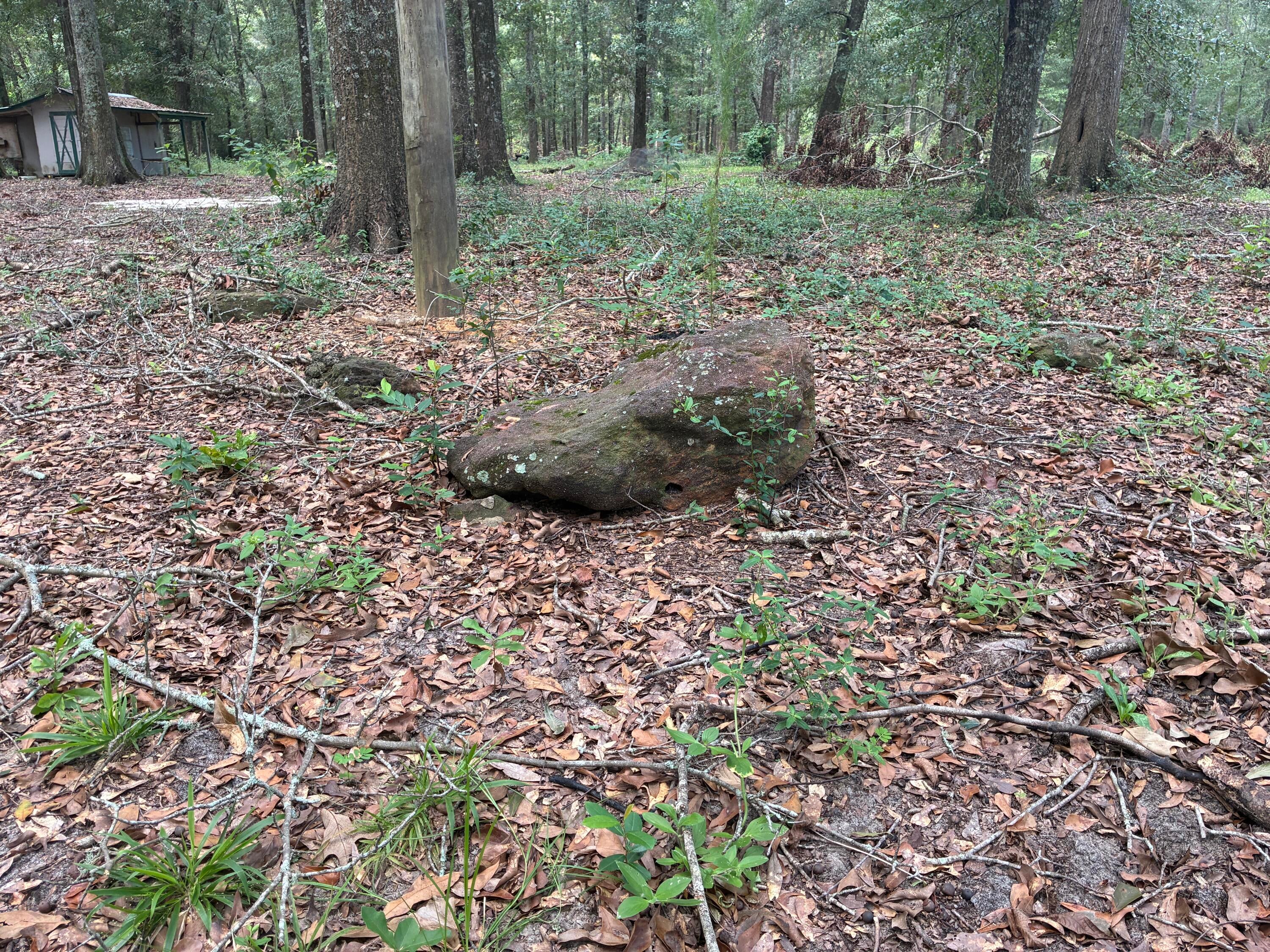 Along the Florida/Alabama Line - Land