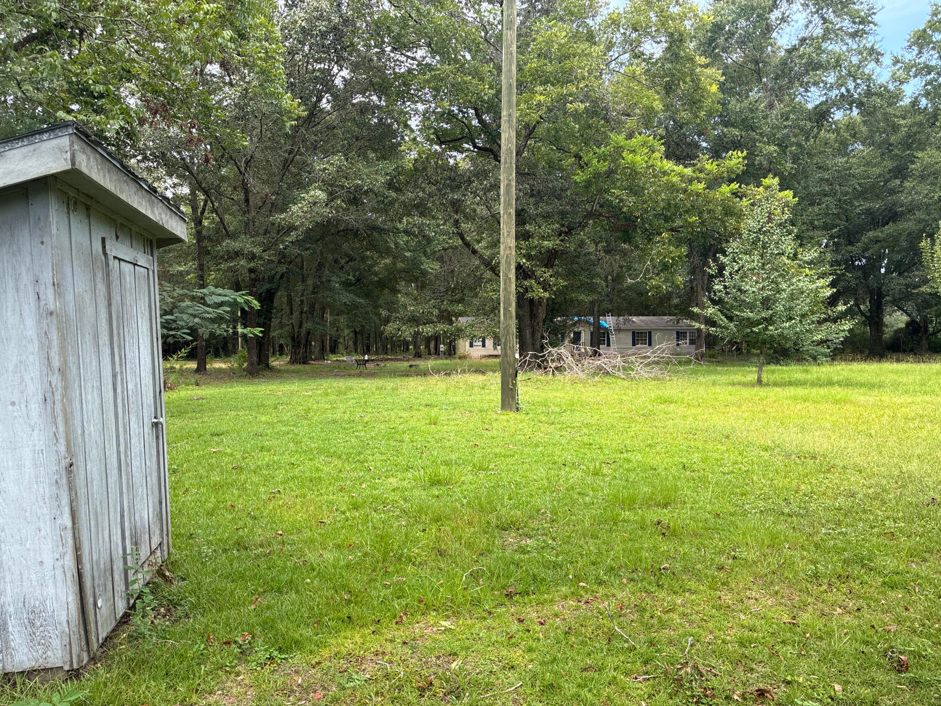 Along the Florida/Alabama Line - Land