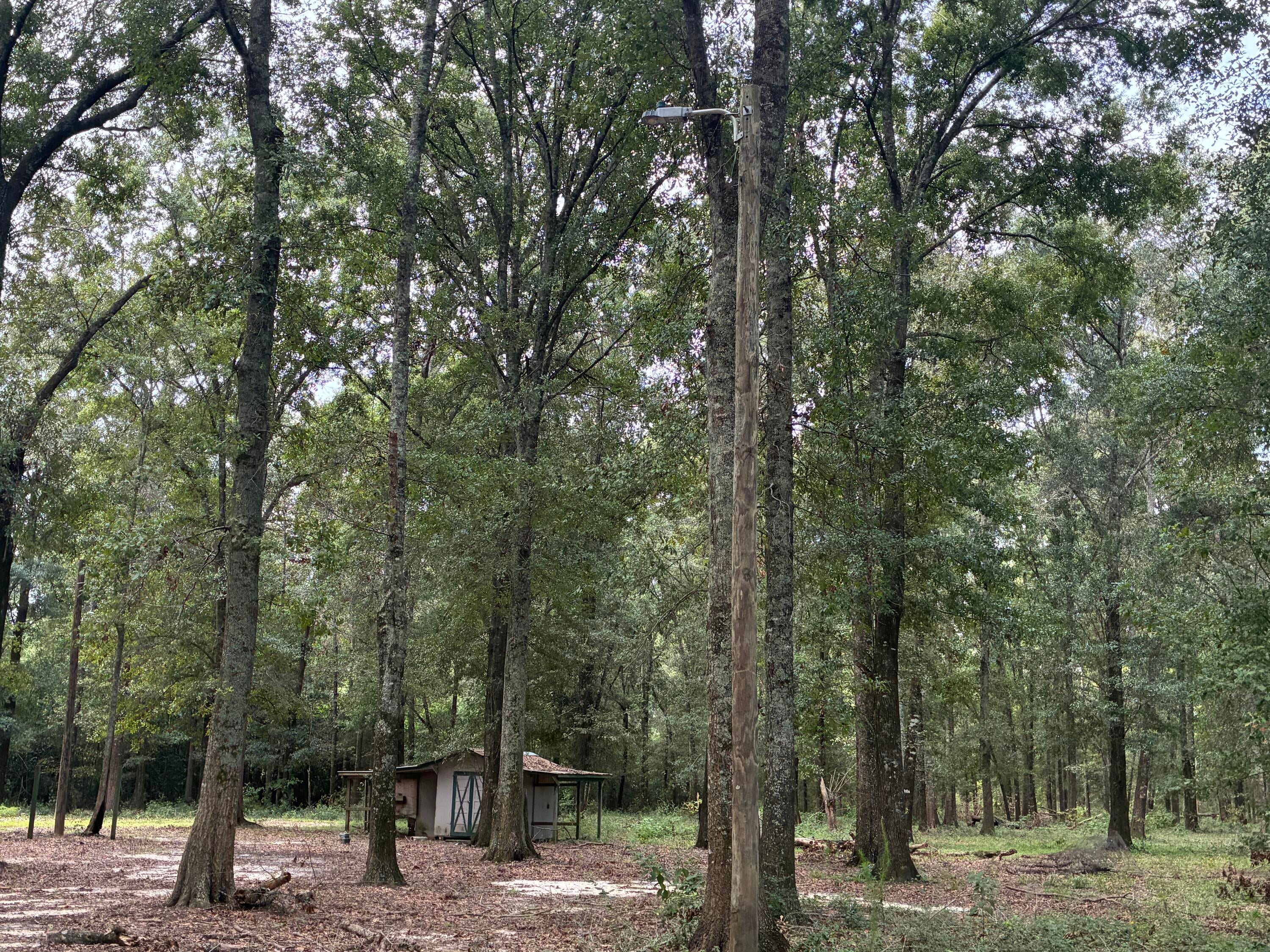 Along the Florida/Alabama Line - Land