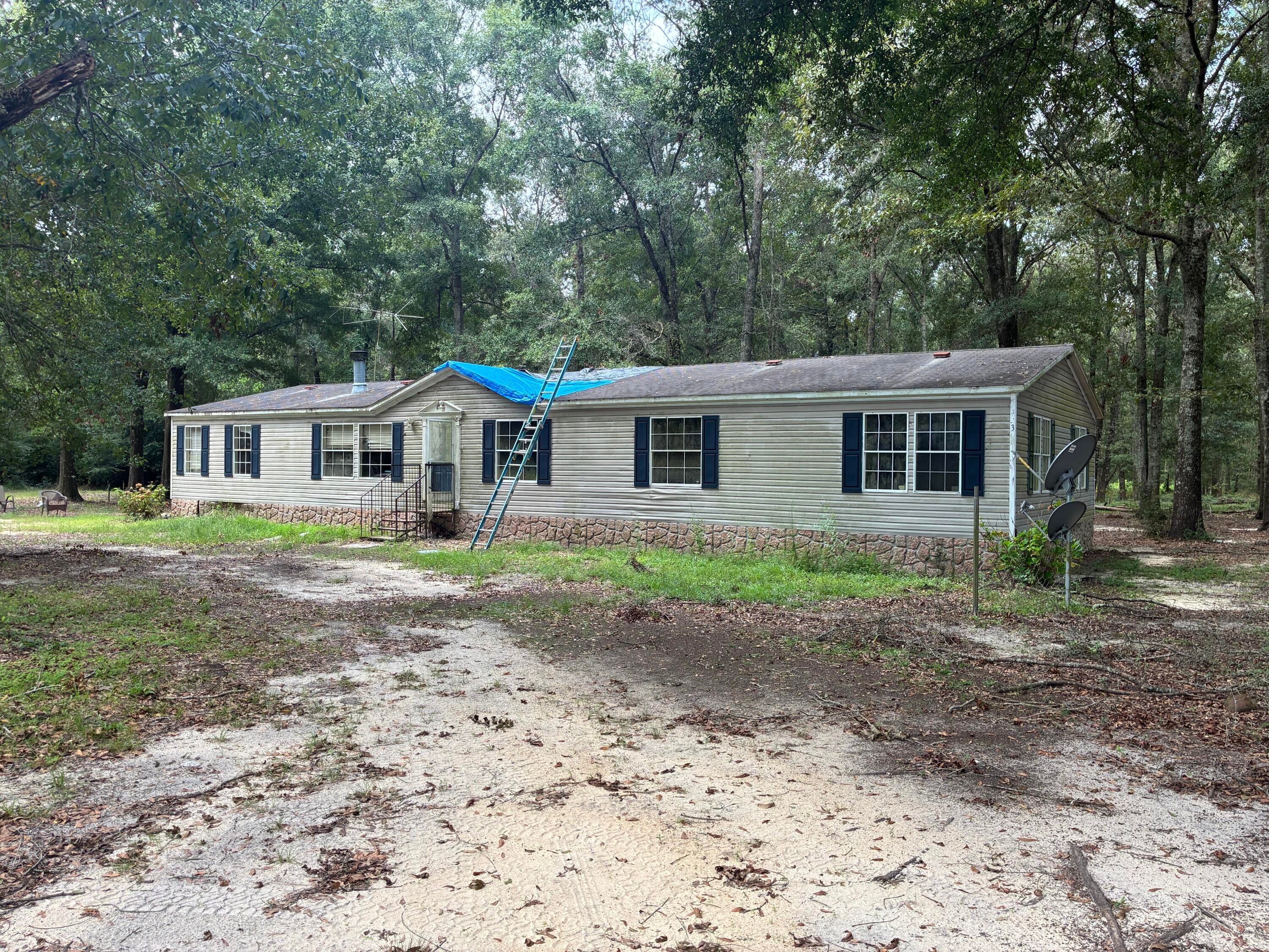 Along the Florida/Alabama Line - Land