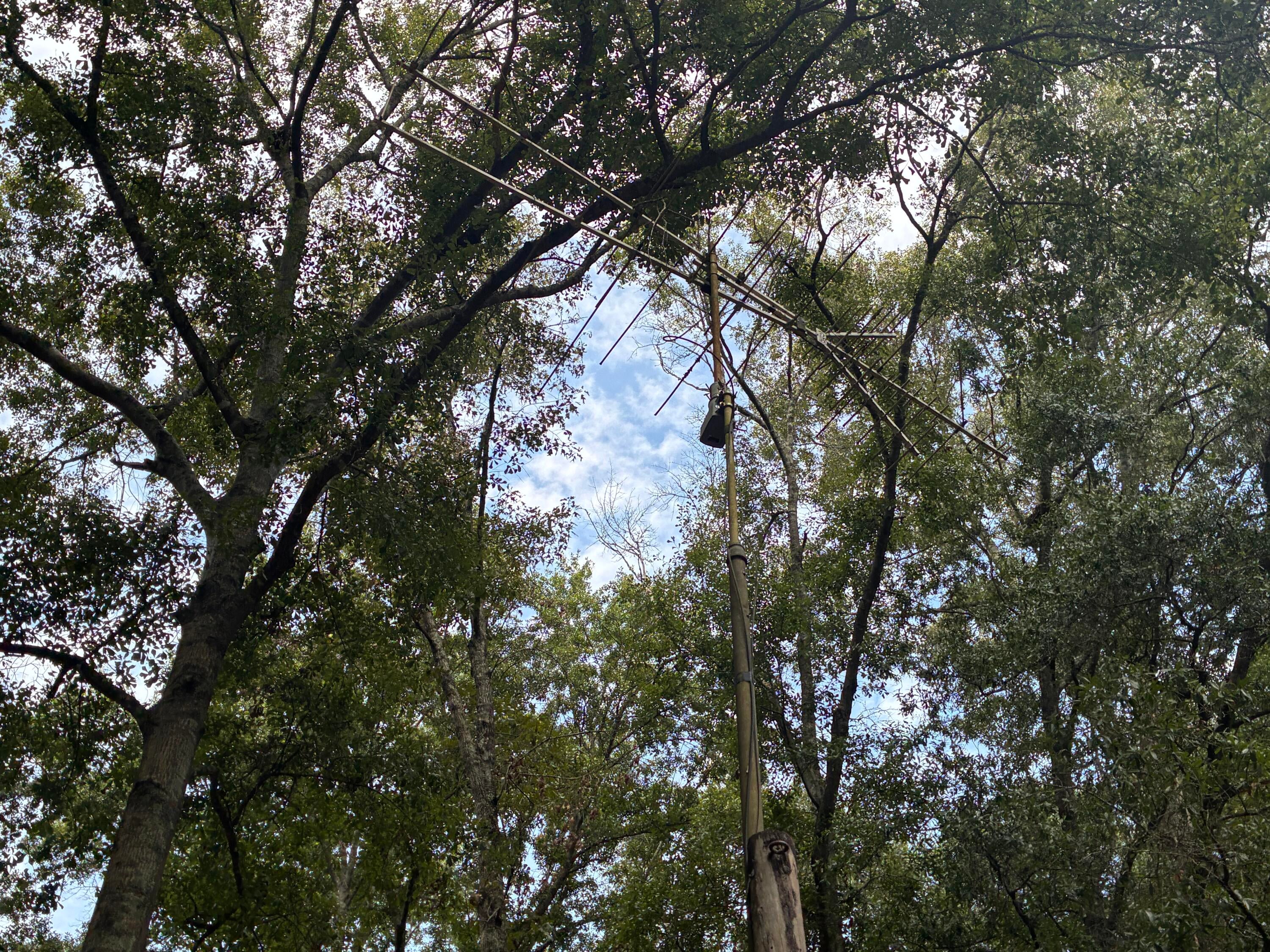 Along the Florida/Alabama Line - Land
