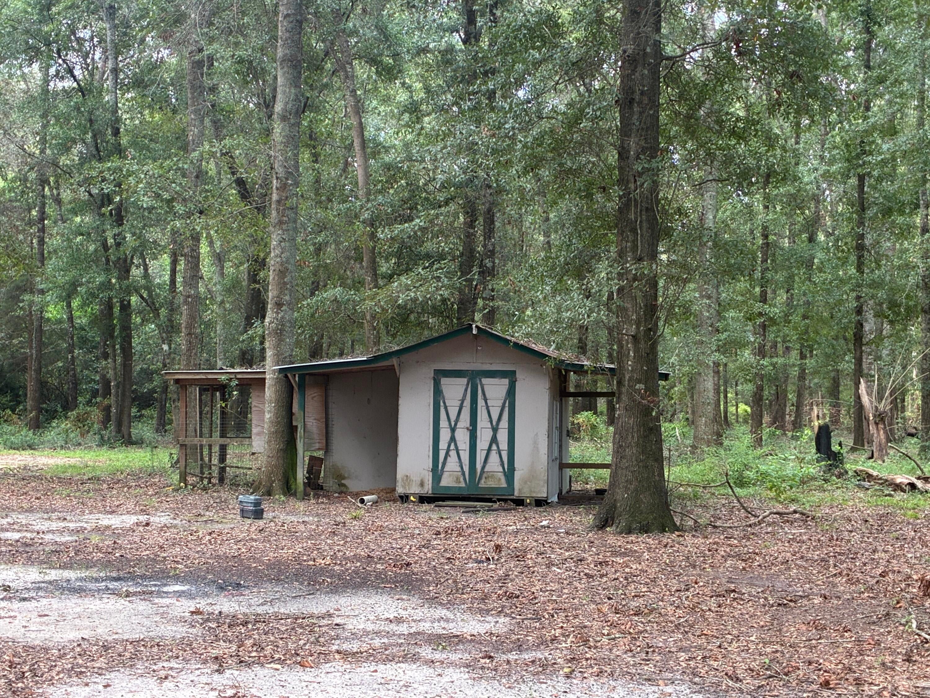 Along the Florida/Alabama Line - Land