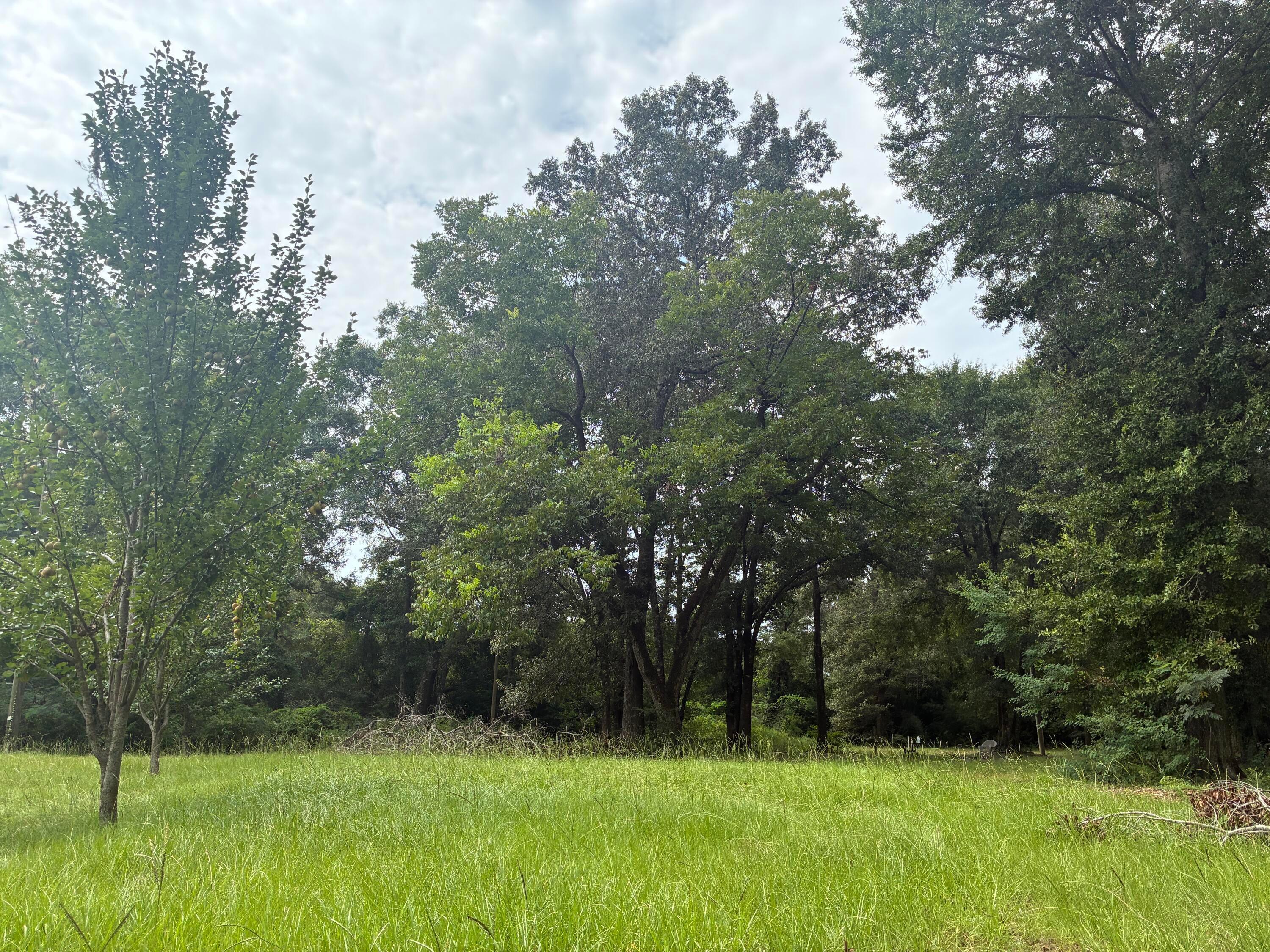 Along the Florida/Alabama Line - Land