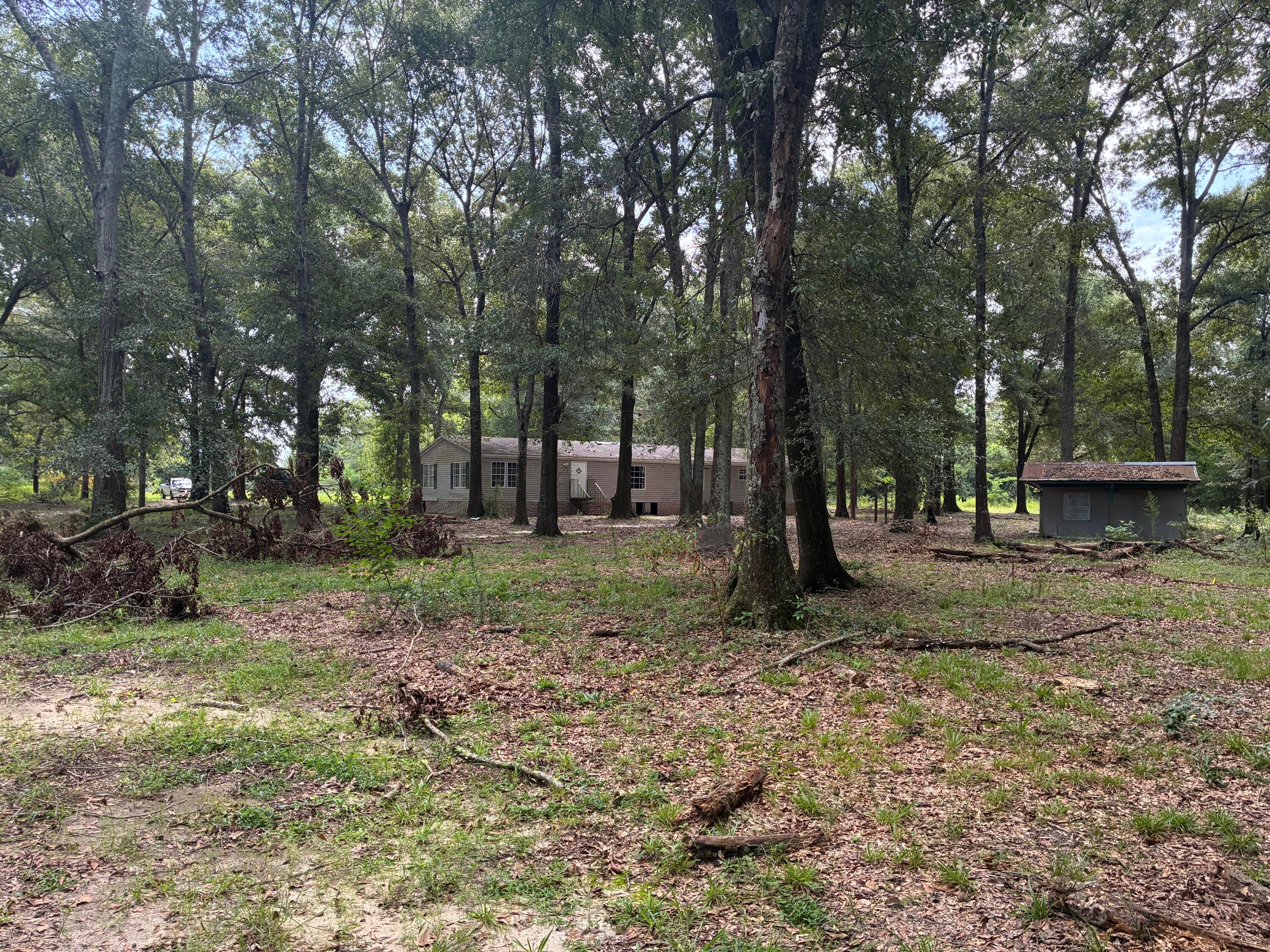 Along the Florida/Alabama Line - Land