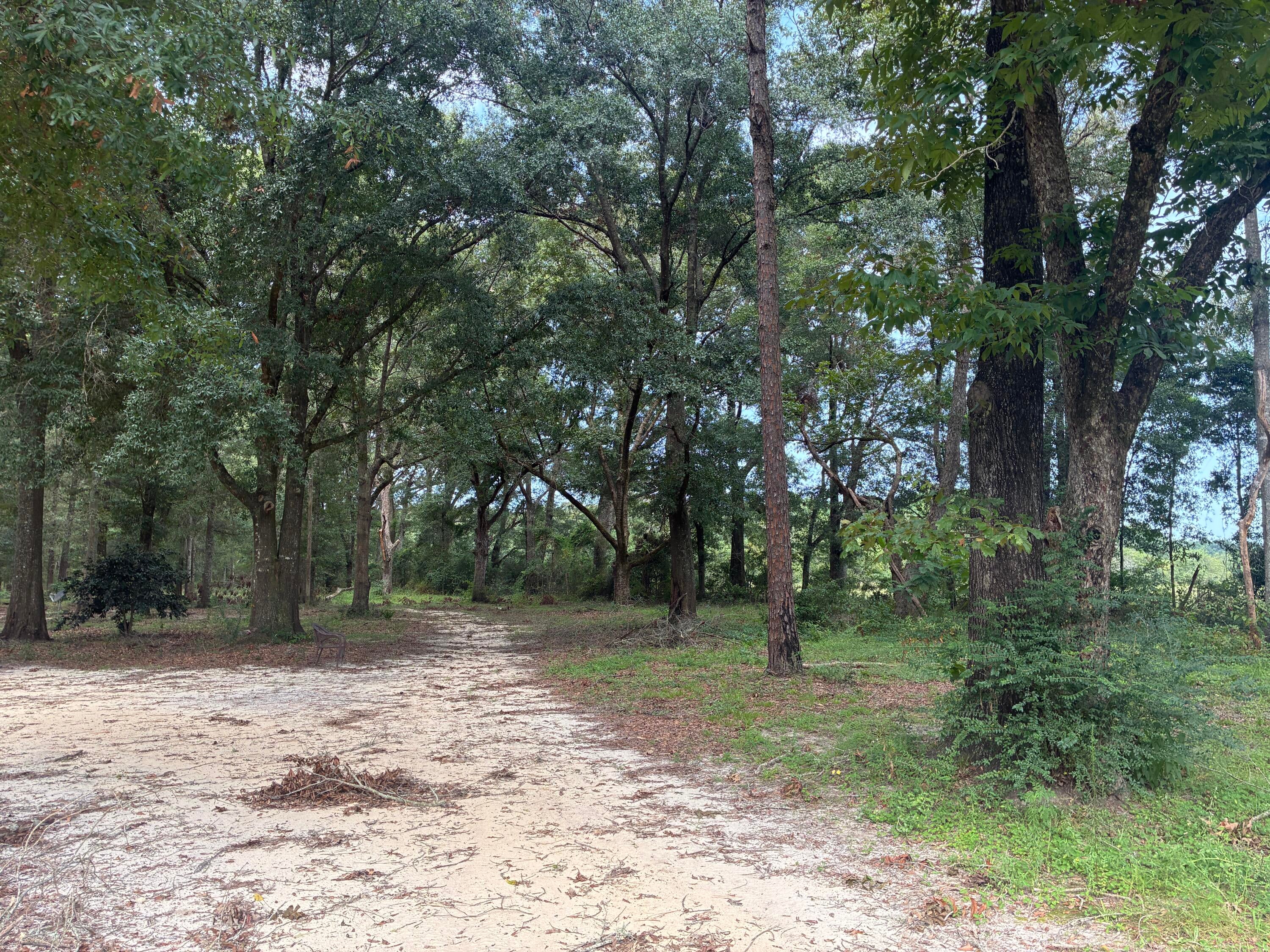 Along the Florida/Alabama Line - Land