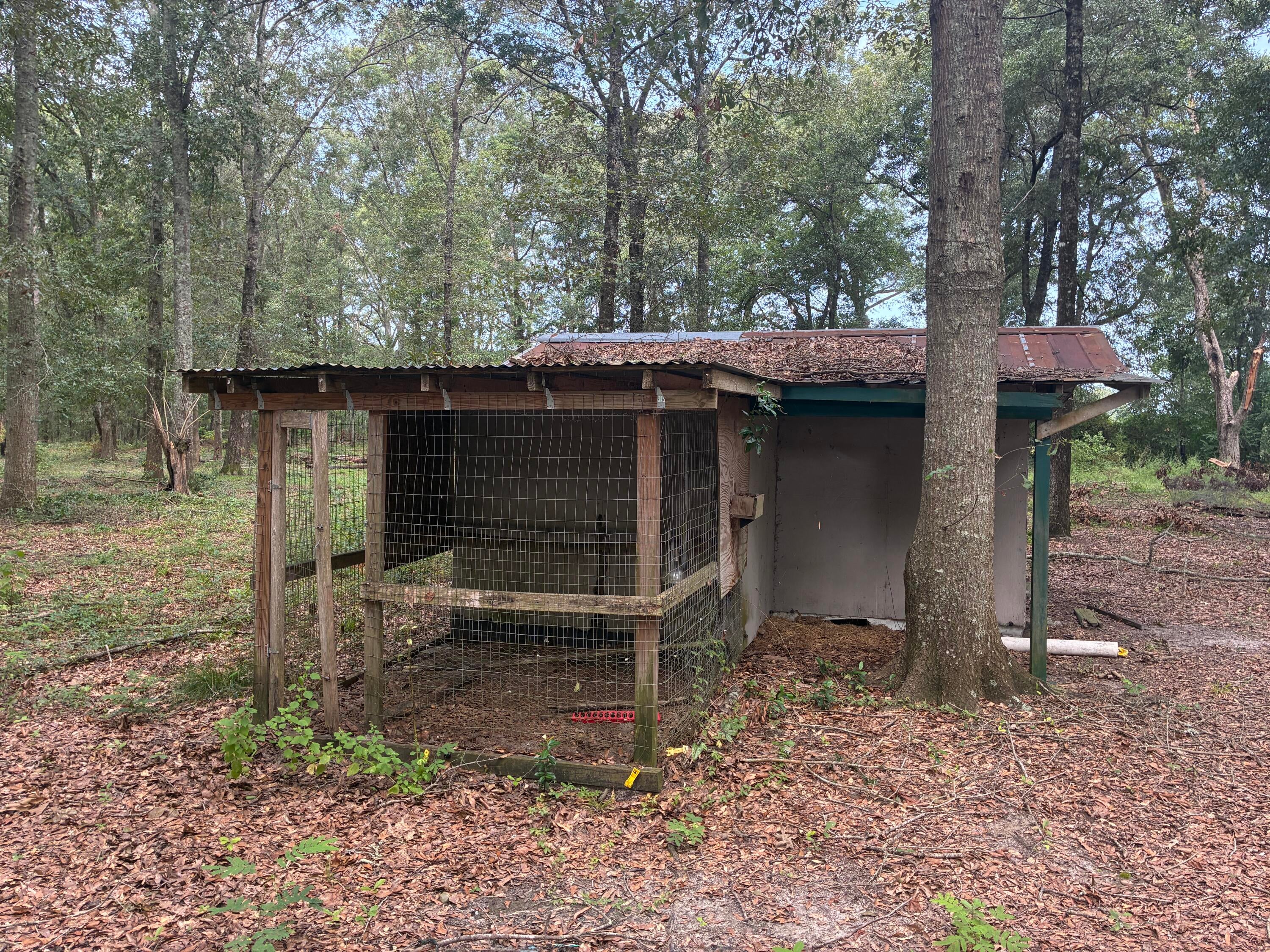 Along the Florida/Alabama Line - Land