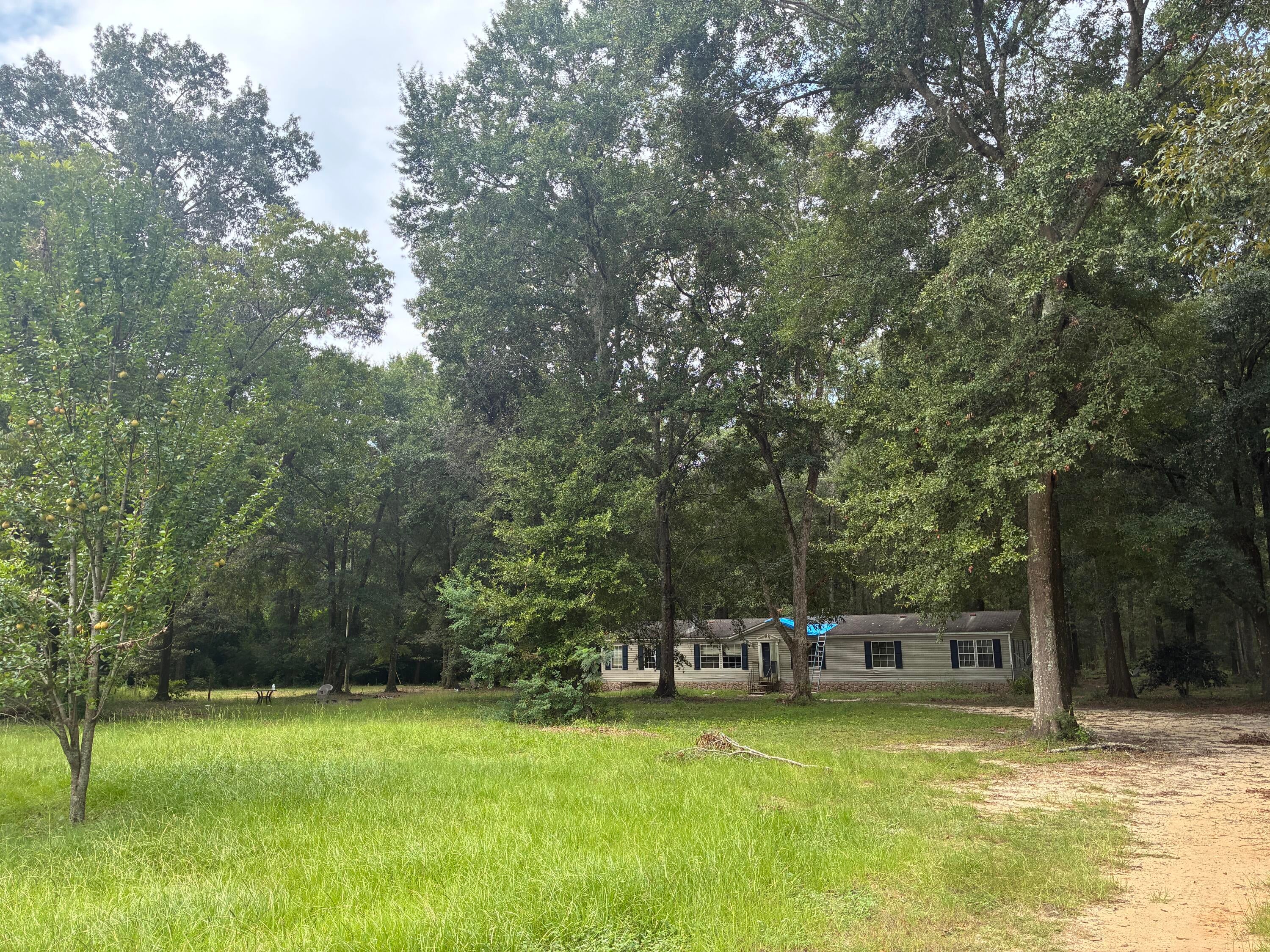 Along the Florida/Alabama Line - Land