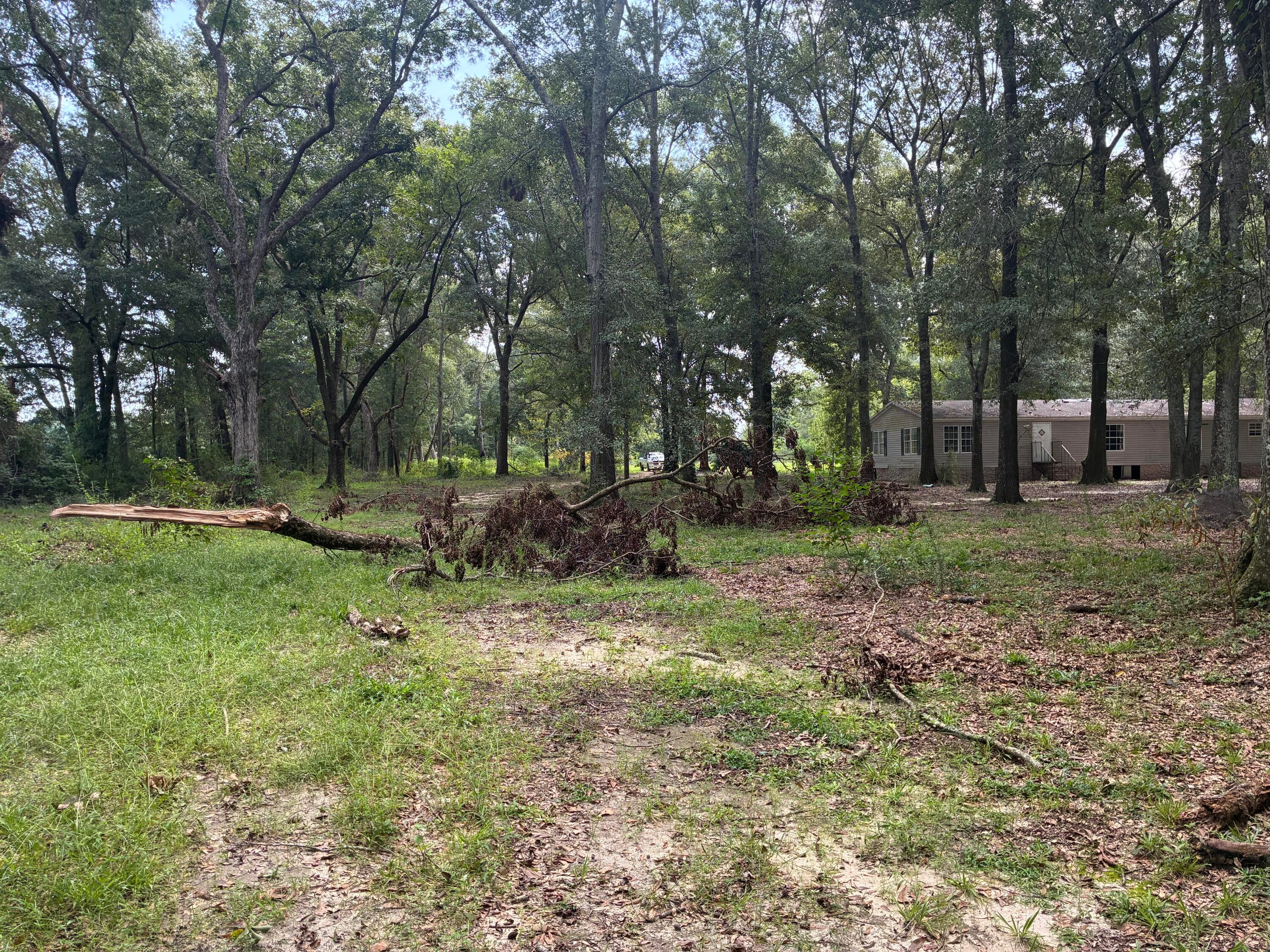 Along the Florida/Alabama Line - Land