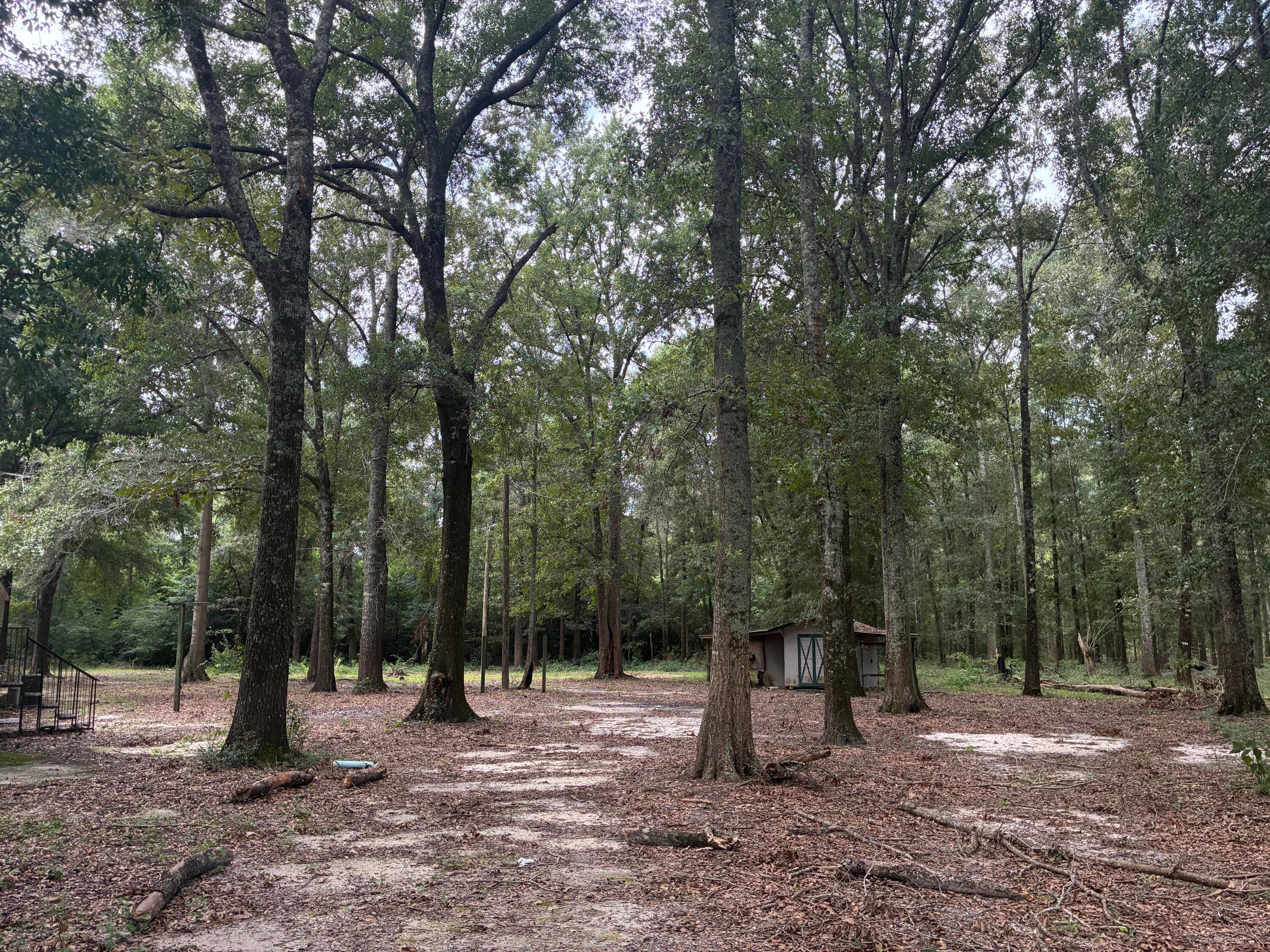 Along the Florida/Alabama Line - Land