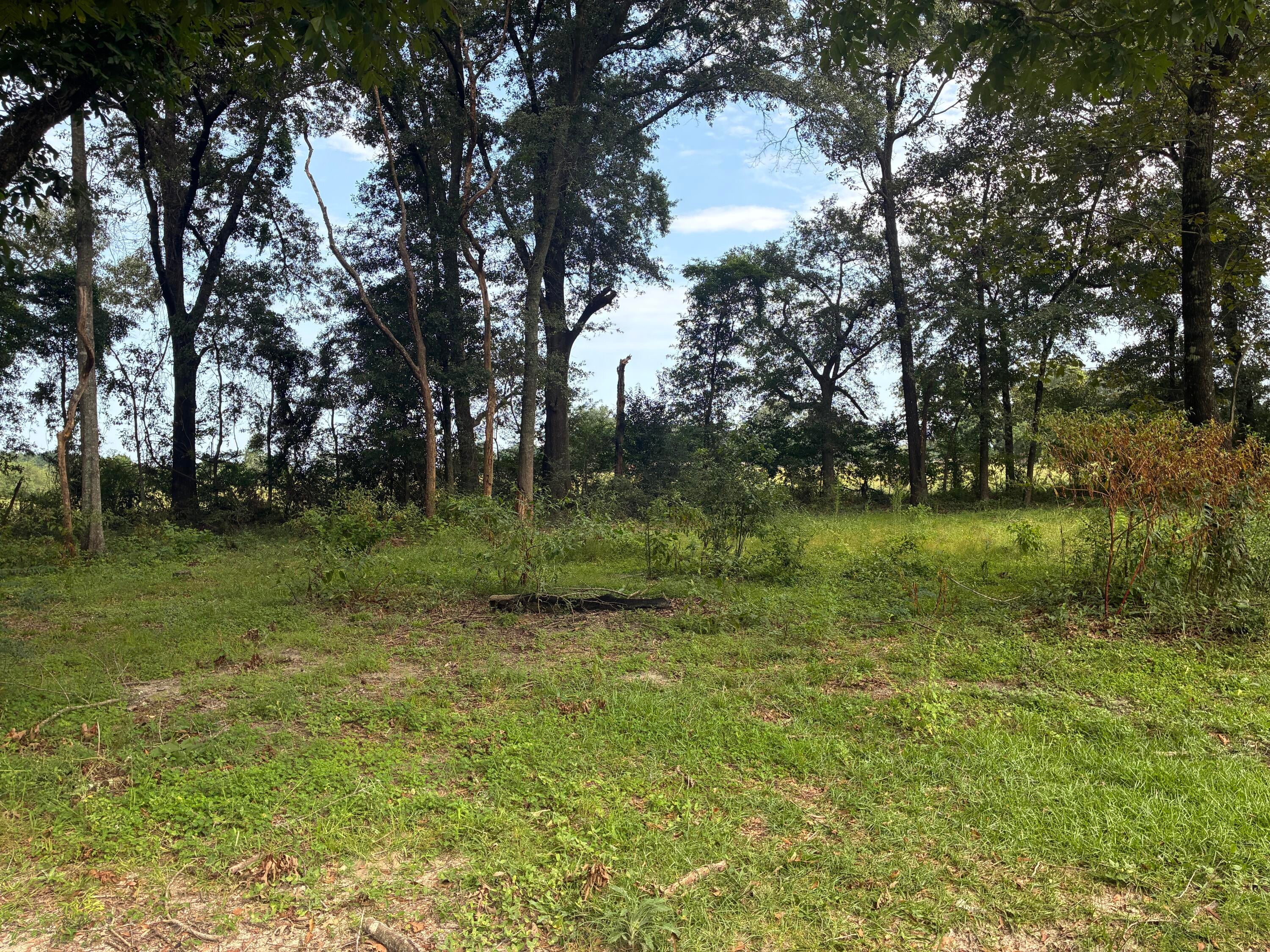 Along the Florida/Alabama Line - Land