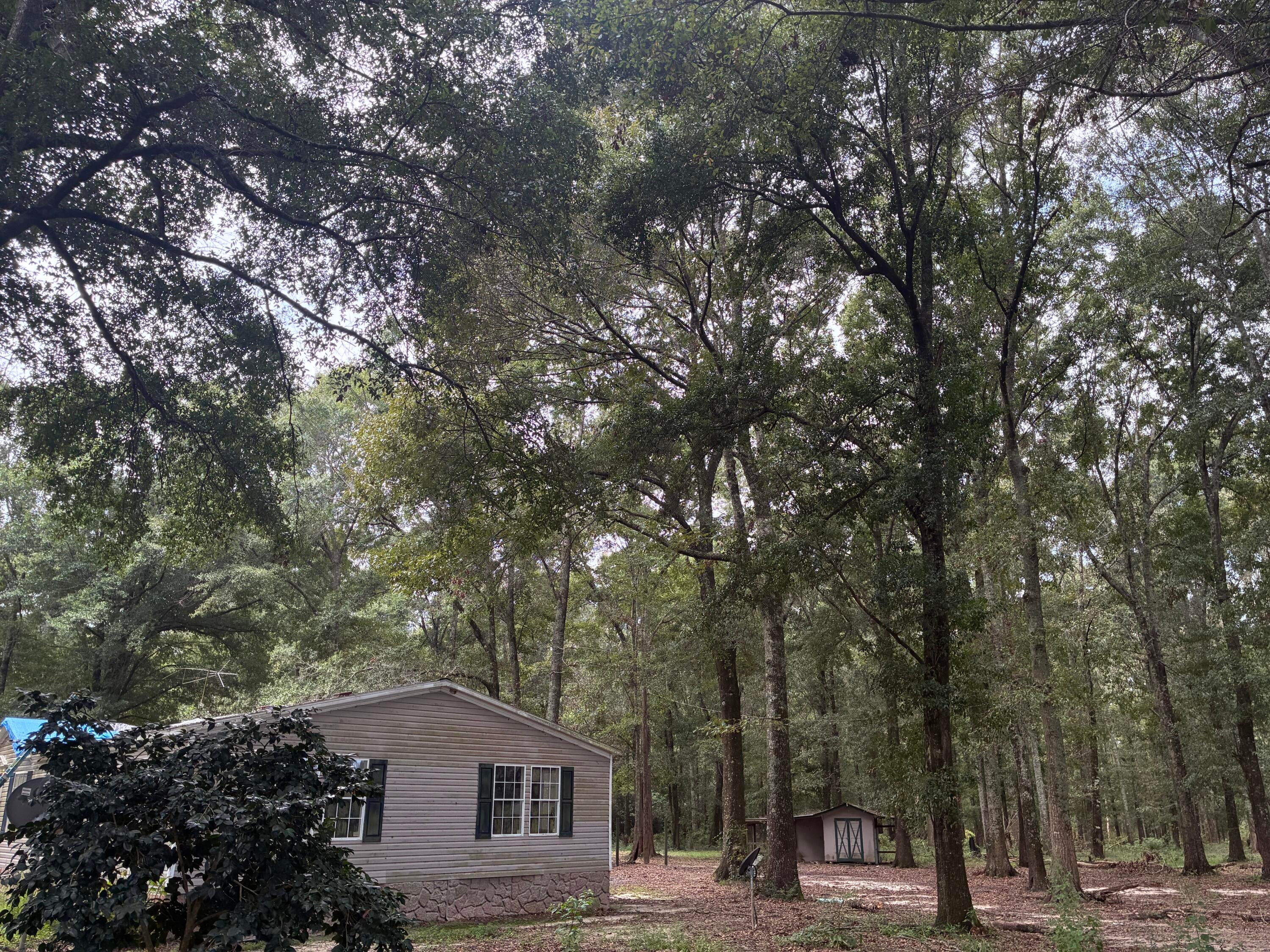 Along the Florida/Alabama Line - Land