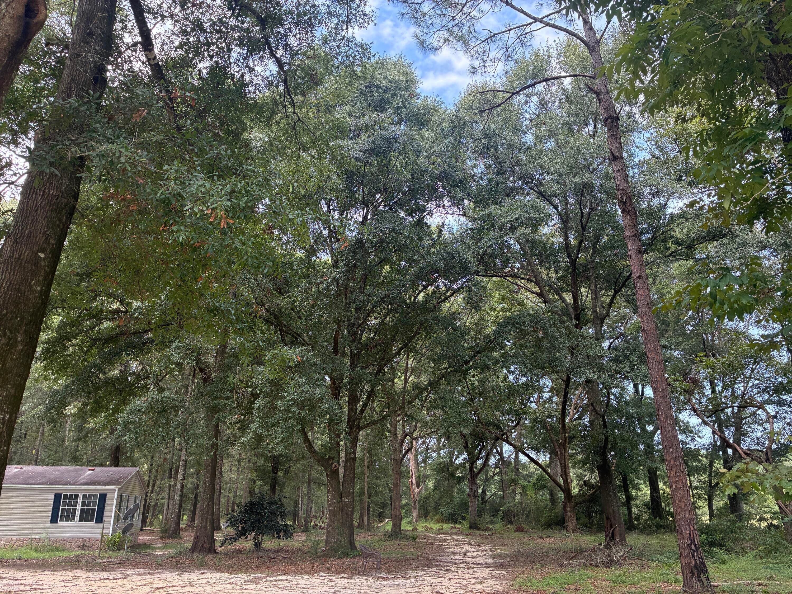 Along the Florida/Alabama Line - Land