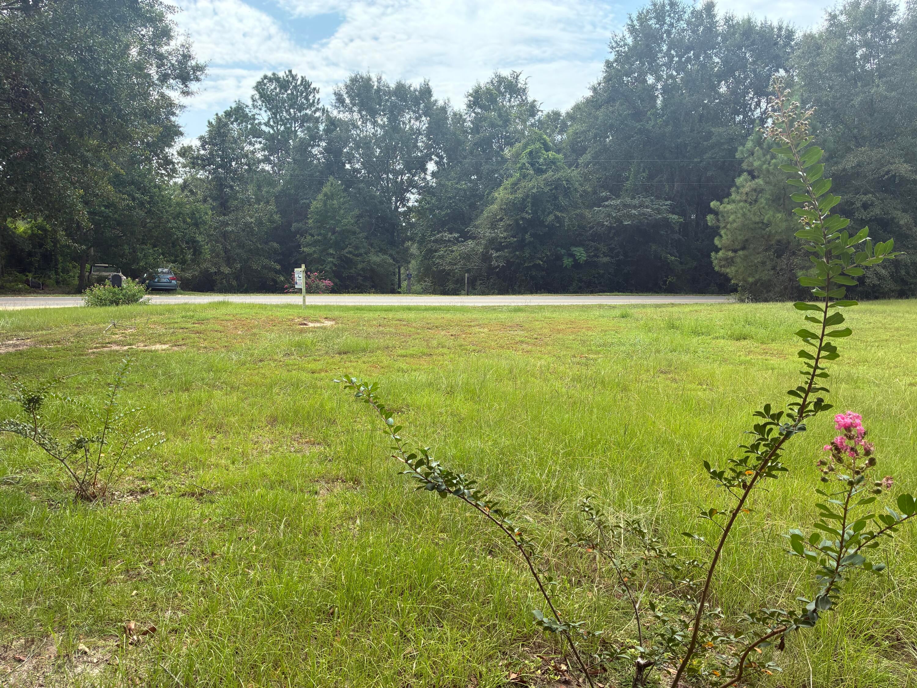 Along the Florida/Alabama Line - Land