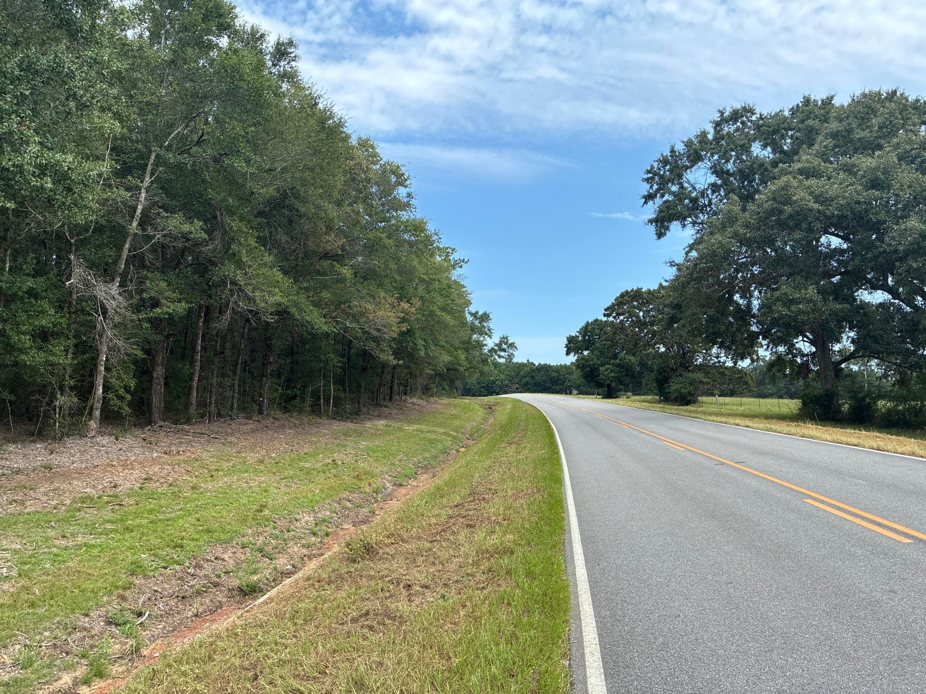 Along the Florida/Alabama Line - Land