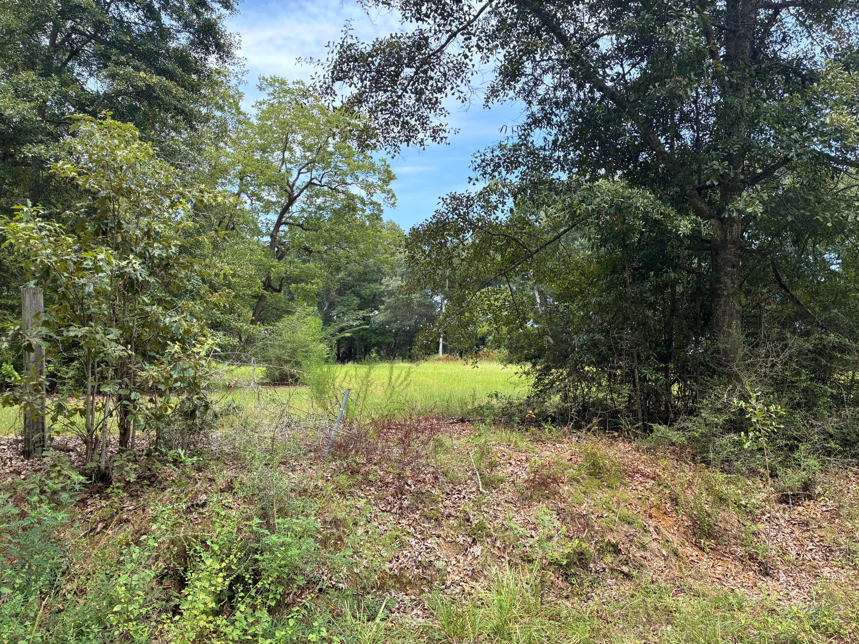 Along the Florida/Alabama Line - Land