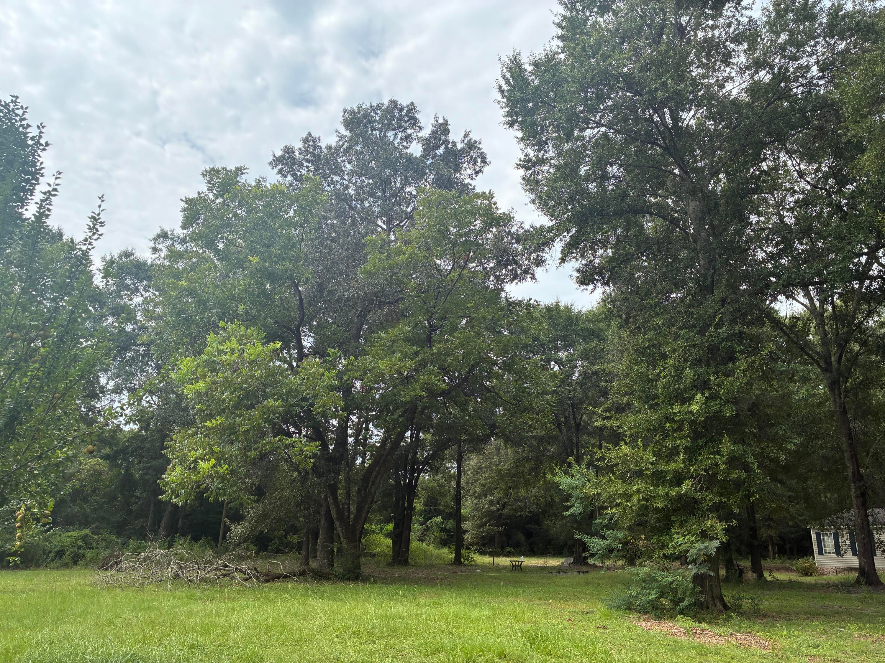 Along the Florida/Alabama Line - Land