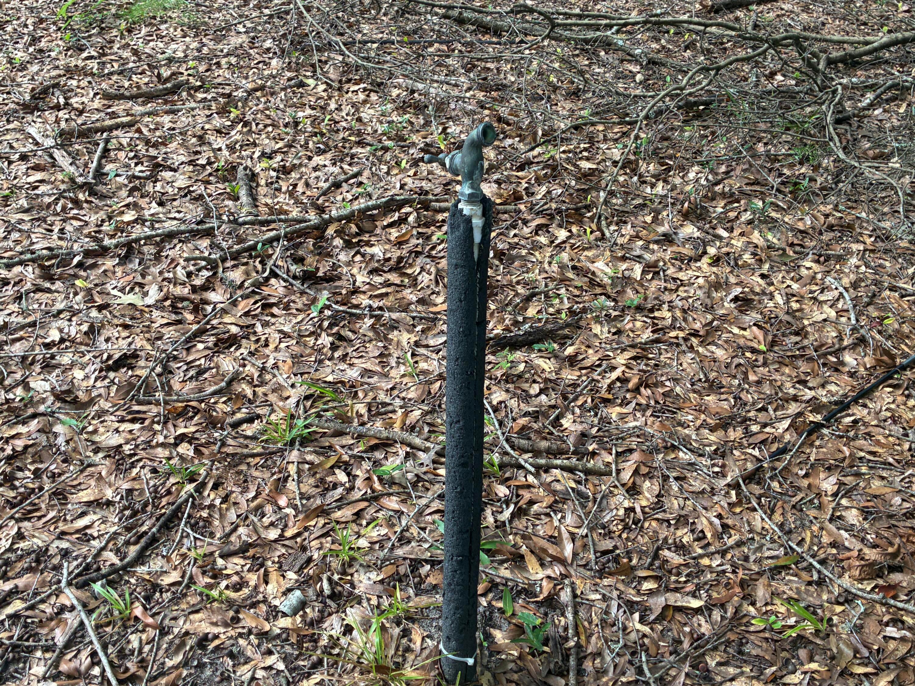 Along the Florida/Alabama Line - Land