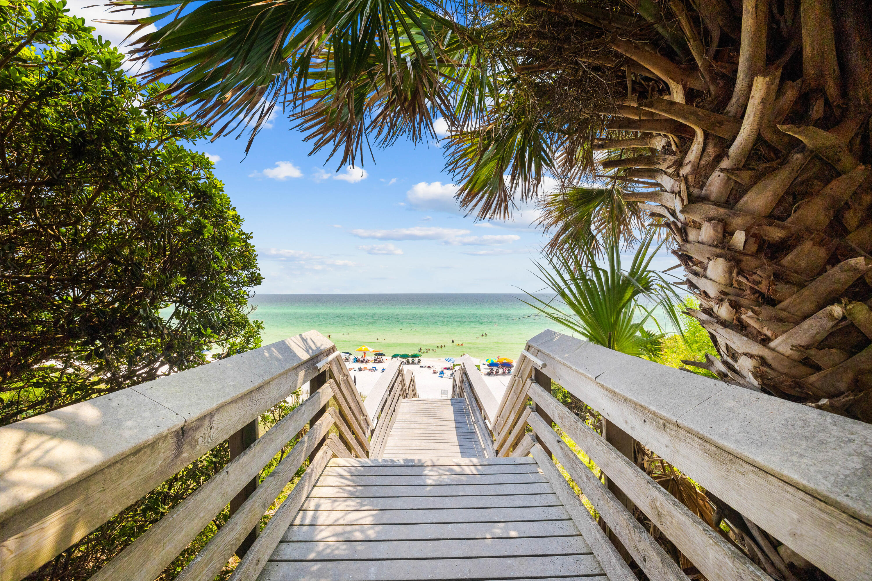GROVE BY THE SEA - Residential