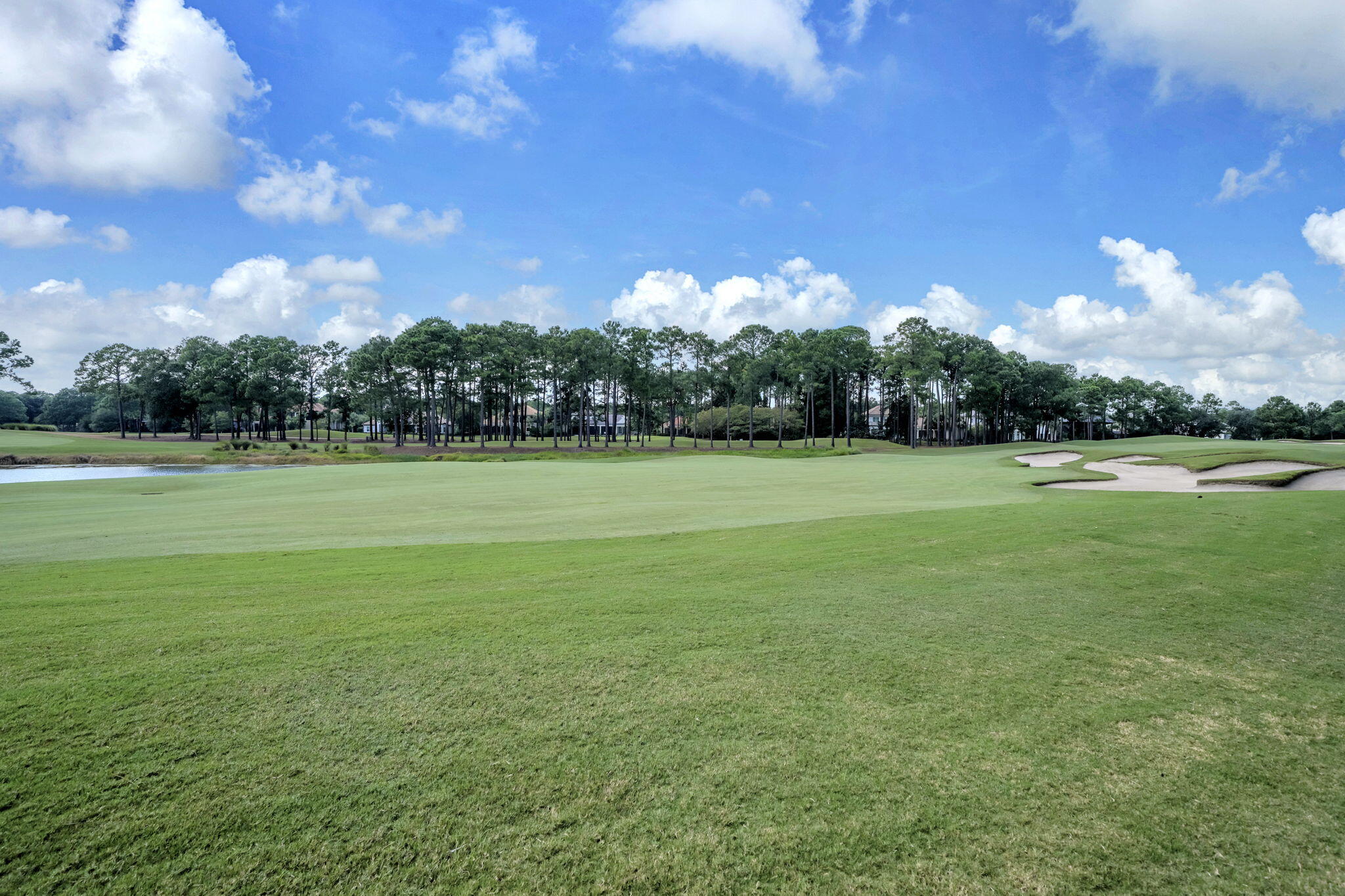 VINEYARD AT RAVEN OAKS - Residential