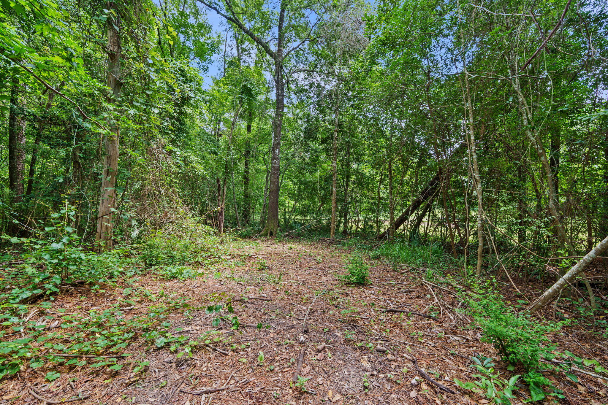Howell Bluff - Residential
