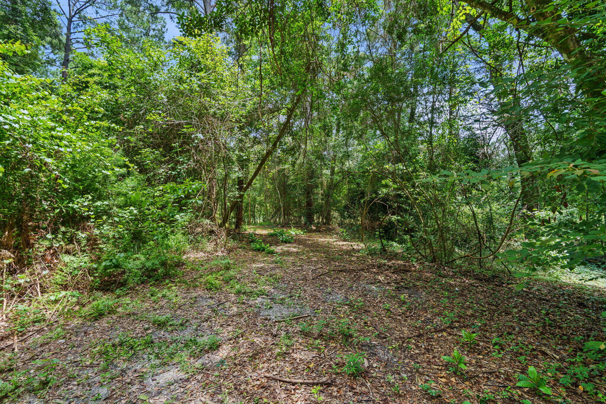 Howell Bluff - Residential
