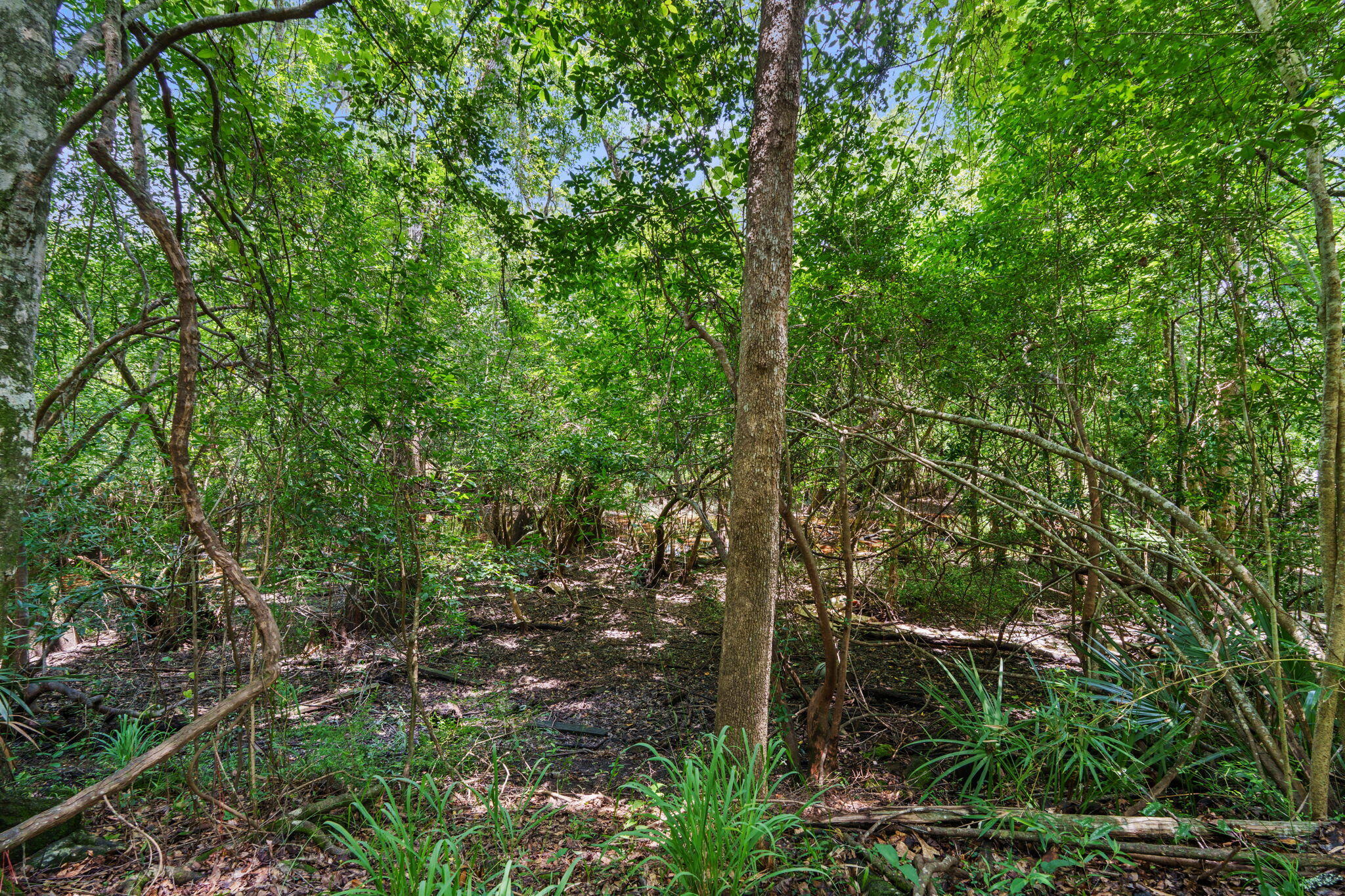 Howell Bluff - Residential