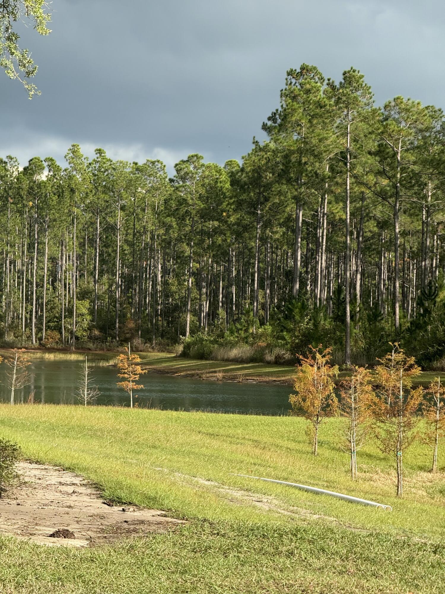 HAMMOCK BAY - Land
