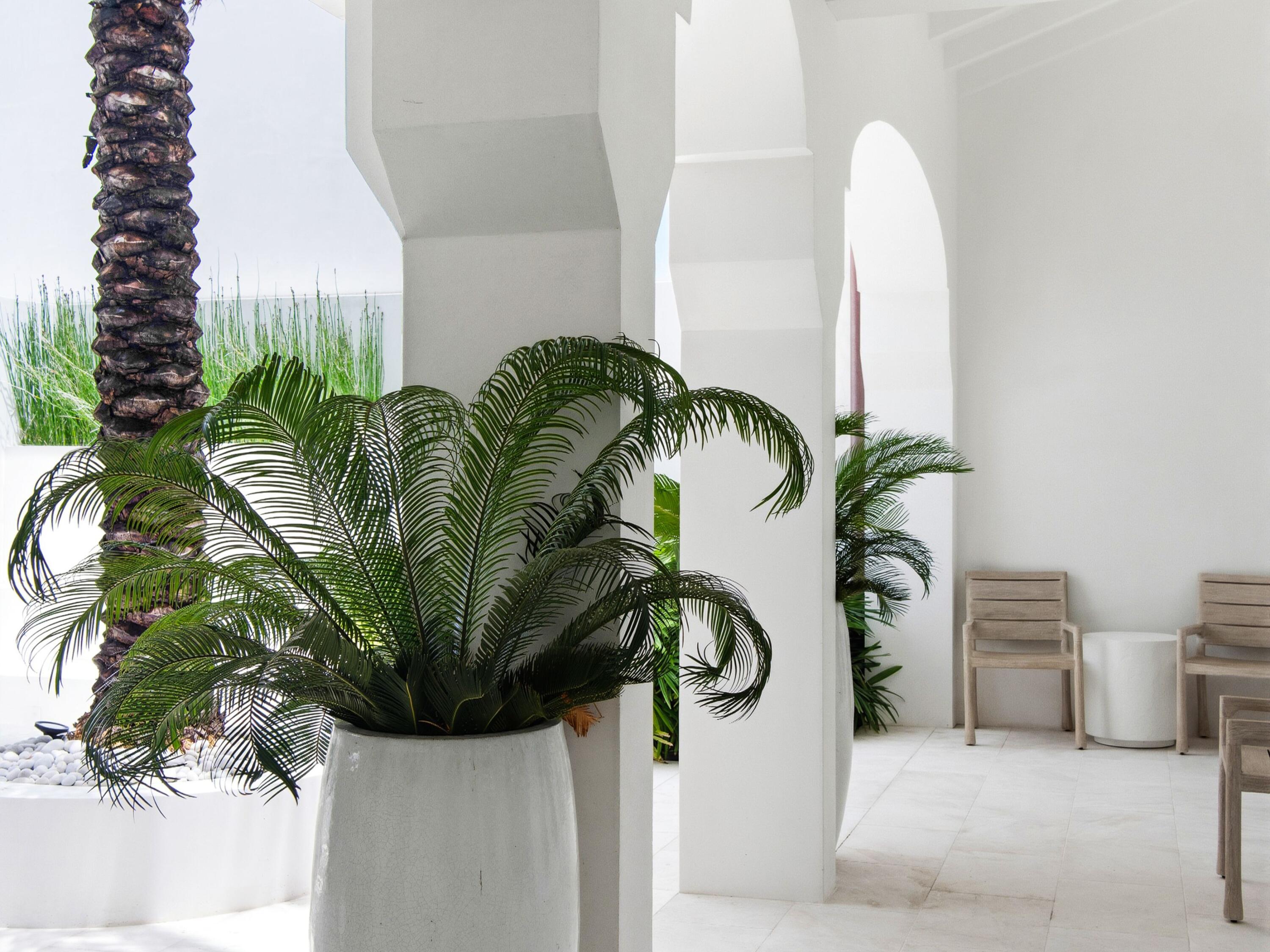 ALYS BEACH - Residential