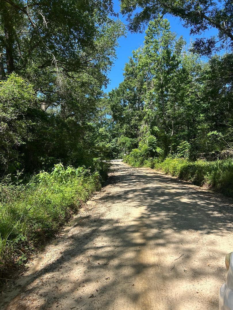 This one acre parcel is North of Westville, FL.  It fronts a dirt road but only few steps to paved road.  
Remains of of old trailer are present but trailer has no value.  Seller will not pay to get it removed.  Land is being sold as is. There is a well and septic but seller has not information on condition of either.  Lot is not in flood zone.  Choctawhatchee River is about mile away.  A place in the country to build your home or put your mobile home.