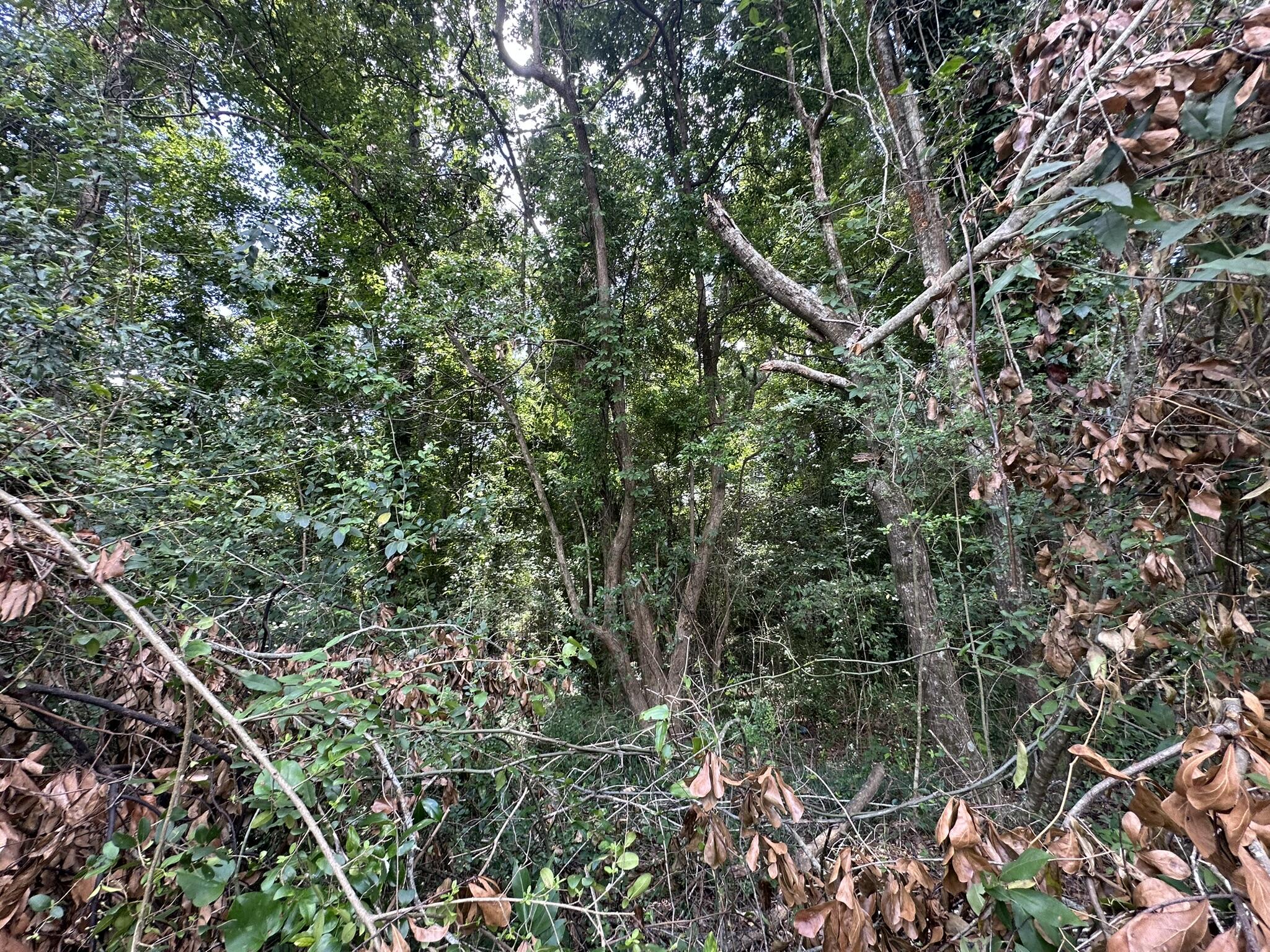 Fairview ADD - Alabama - Land