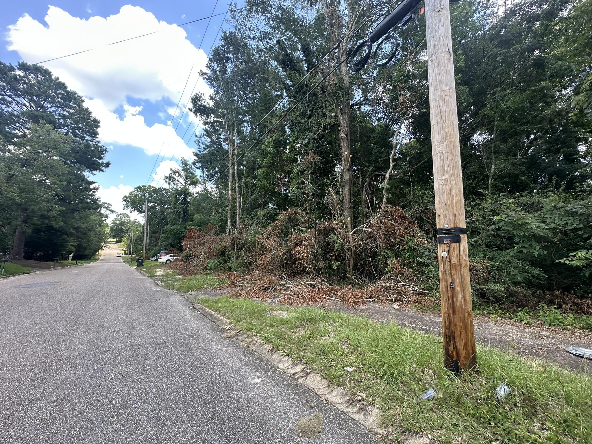 Opportunity to own property on Smith Avenue in Andalusia, Alabama. These sloping lots offer potential for future use or investment in the heart of South Alabama. Buyer and/or buyer's agent to verify all information deemed important, including property boundaries, acreage, zoning, utilities, access, and suitability for intended use.
Seller says the City told him that the two adjacent lots may be suitable for a 12-unit apartment. Property held by tax deed.